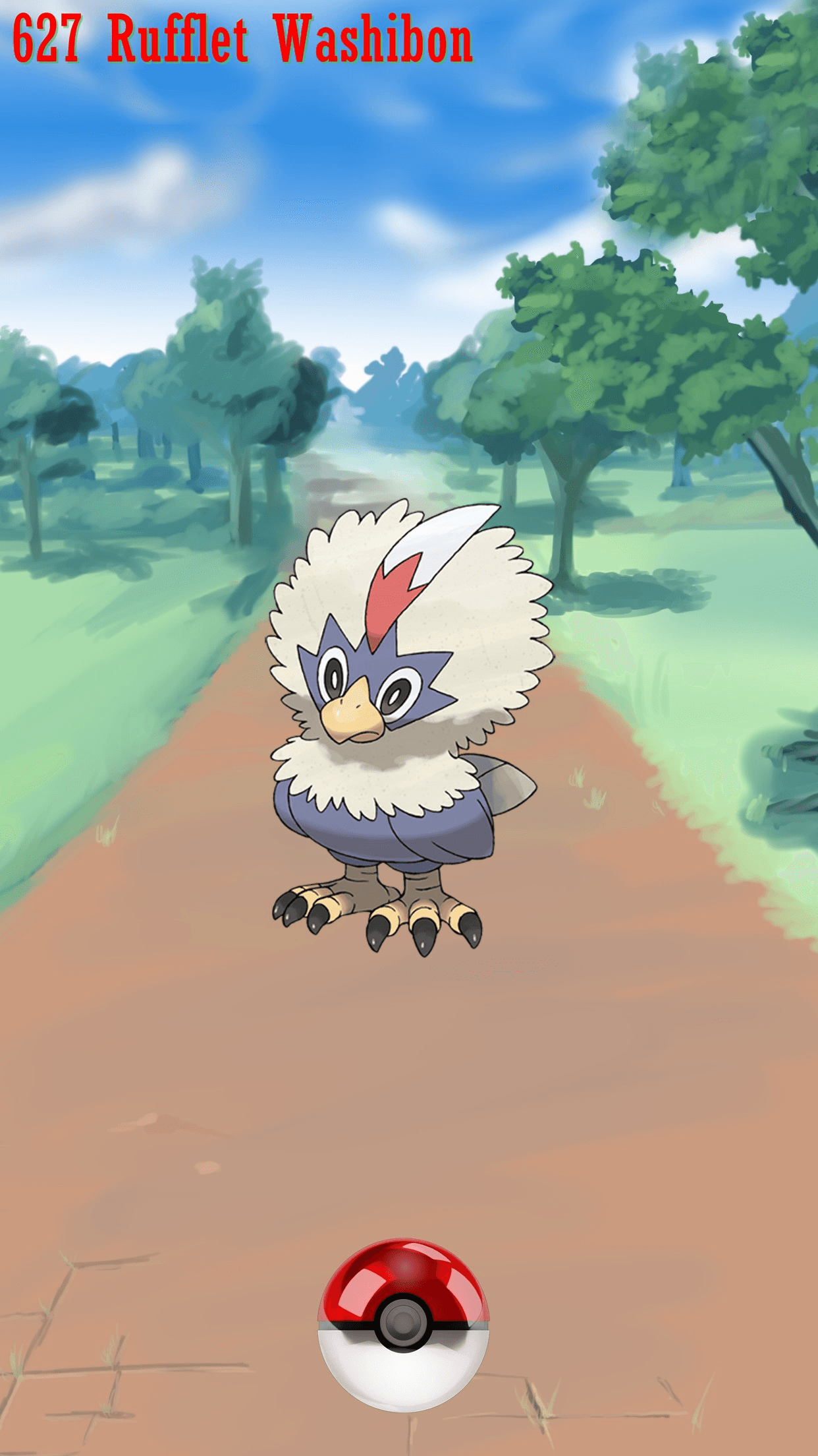 627 Street Pokeball Rufflet Washibon