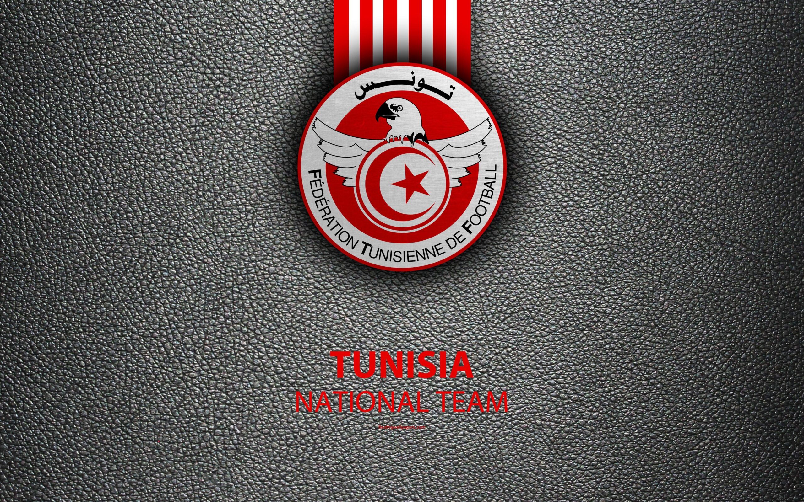 Download wallpapers Tunisia national football team, 4K, leather