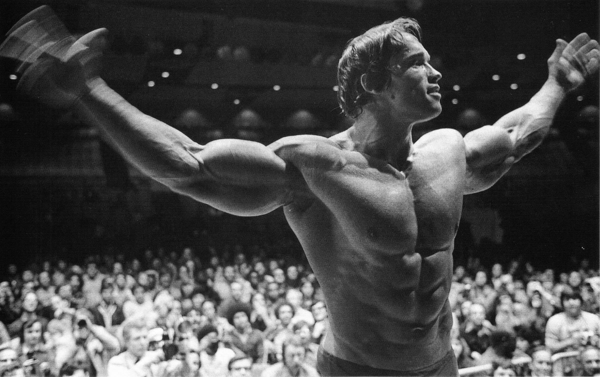 69+ Arnold Schwarzenegger Wallpapers