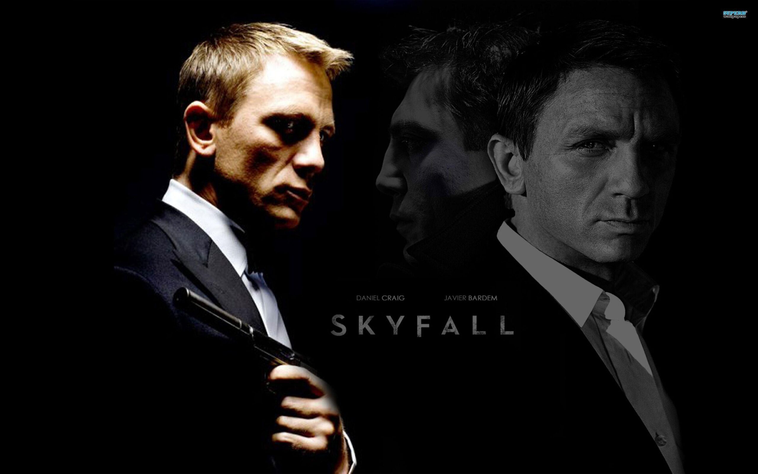 Daniel Craig Skyfall