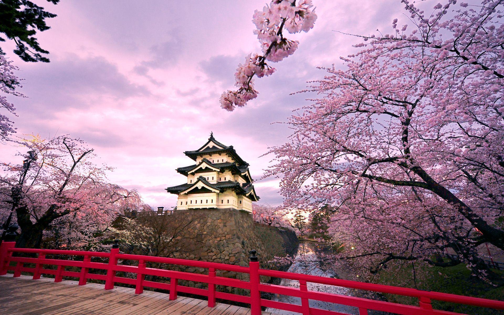 Hirosaki Castle Japan Wallpapers