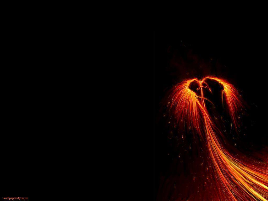 Dark Phoenix Wallpapers Wallpapers Cave Cute Bird Hd