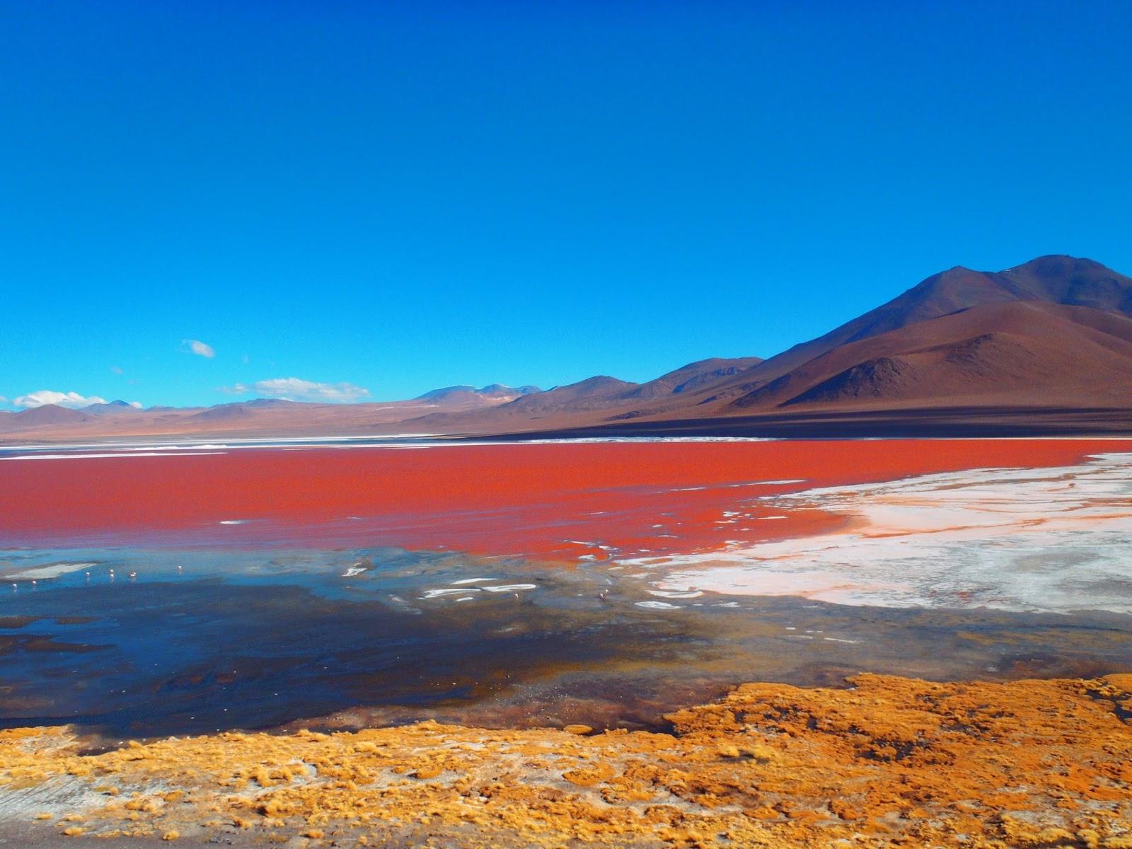 Desde la India 3: LA LAGUNA COLORADA EN LA RESERVA EDUARDO AVAROA