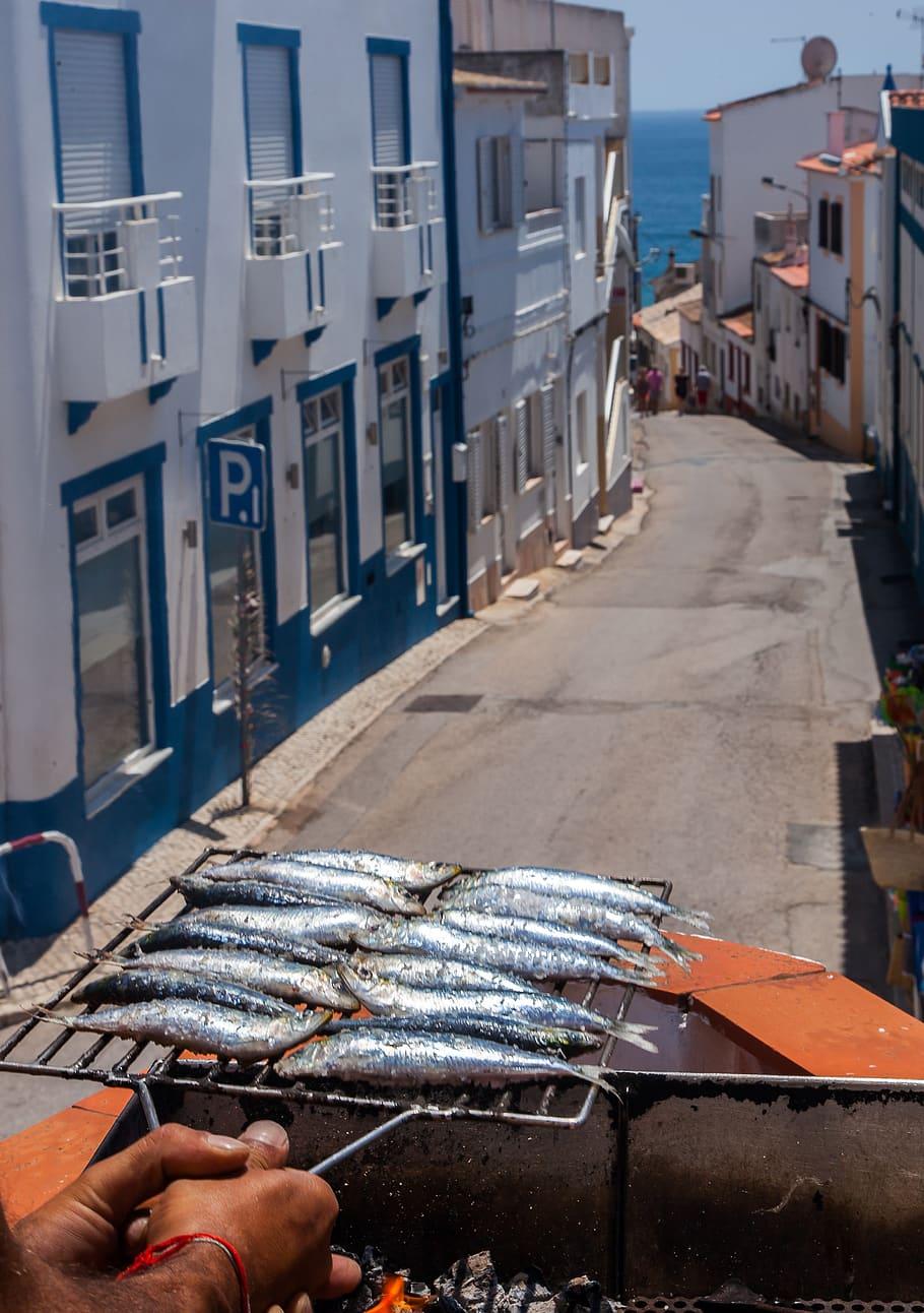 HD wallpaper: portugal, lagos, street, fish, old street