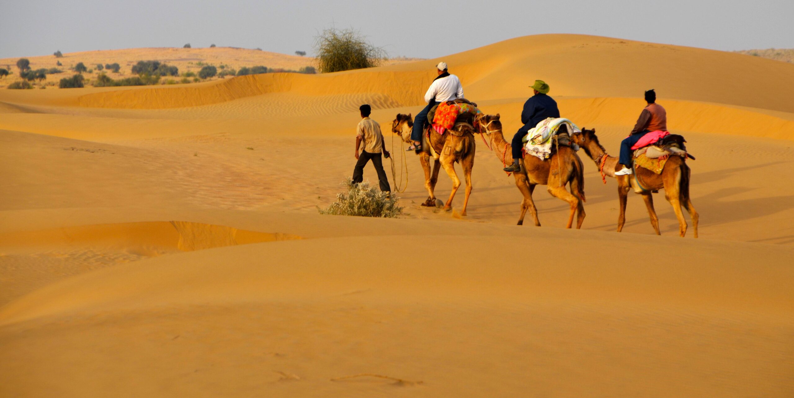 Suvidha Tourism Jaisalmer