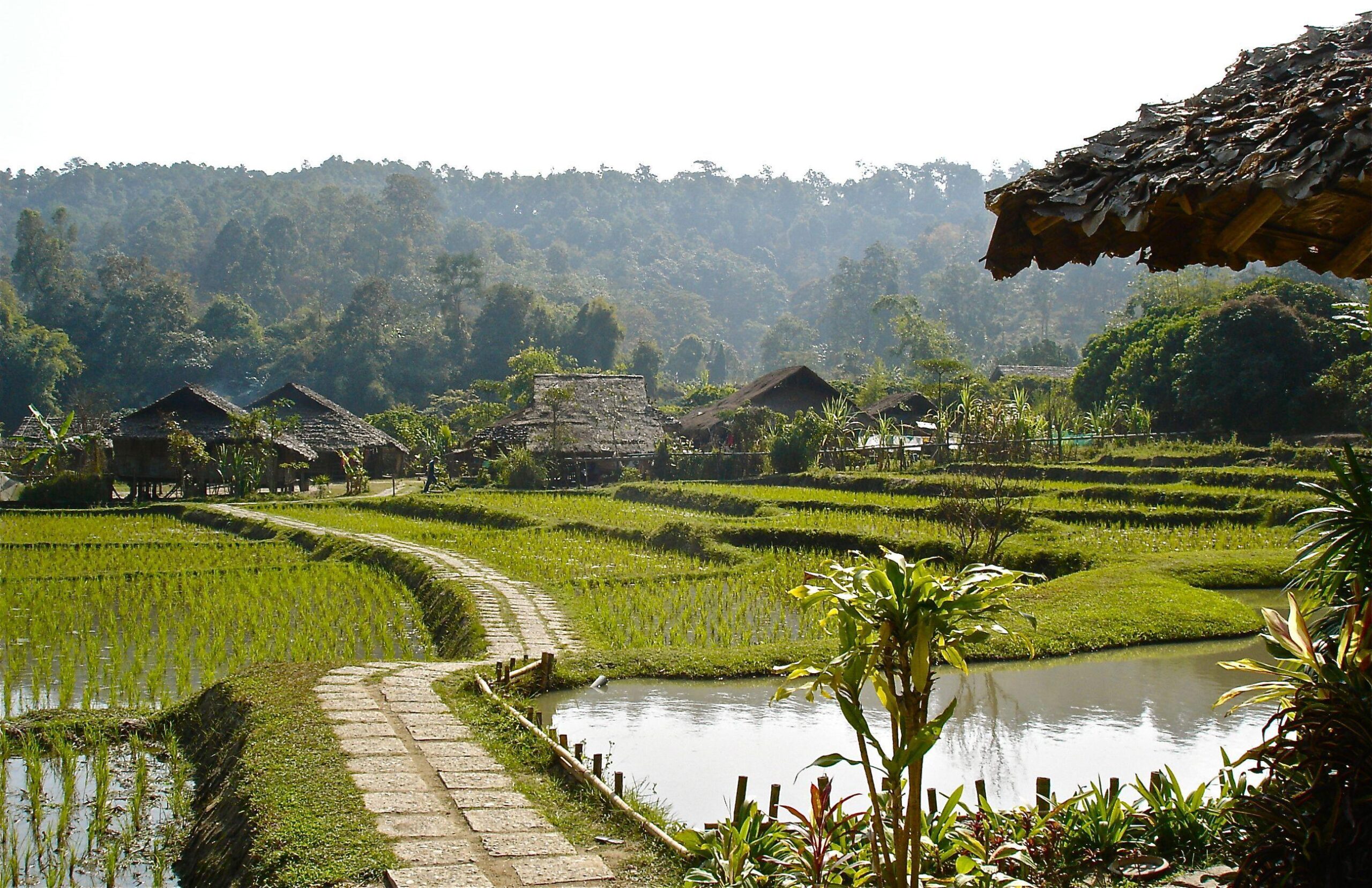 Chiang Mai Wallpapers And Backgrounds