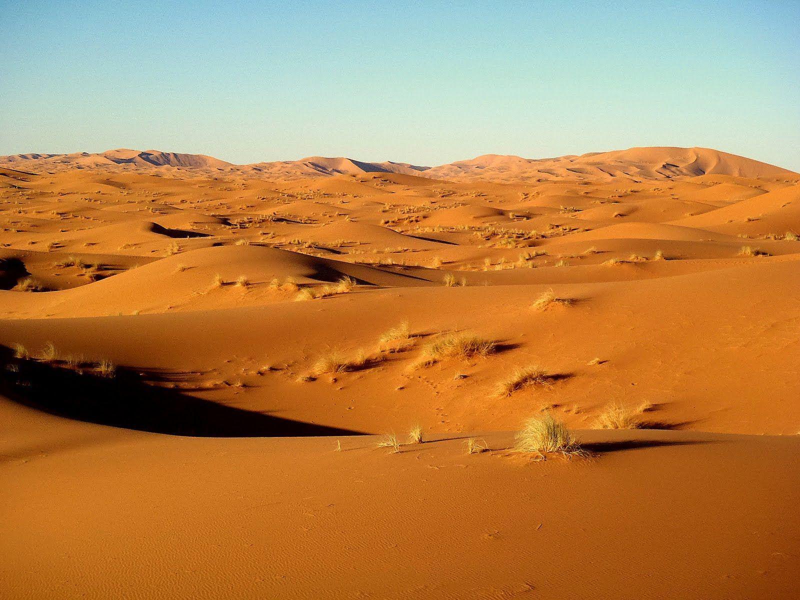 Sahara Desert High Resolution Wallpapers