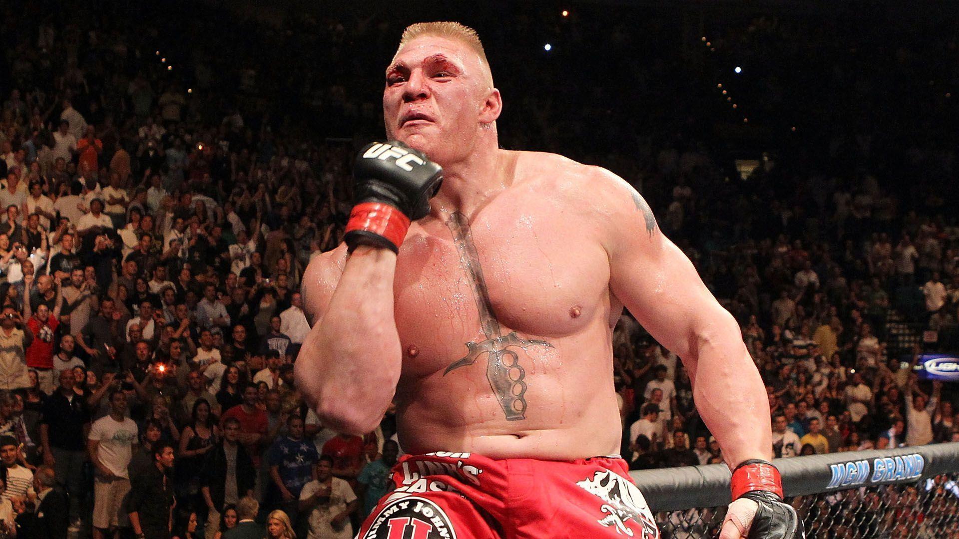 Brock Lesnar WWE Star and American Artist HD Desktop ImageHD