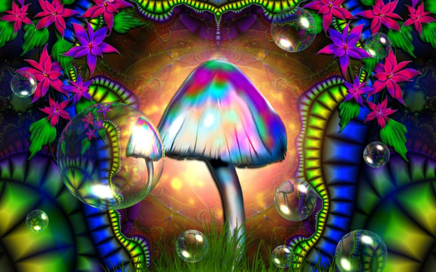 Shroom Wallpapers