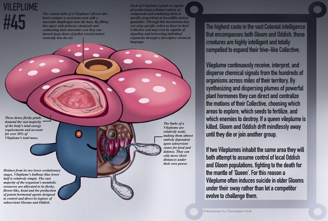 Vileplume Anatomy