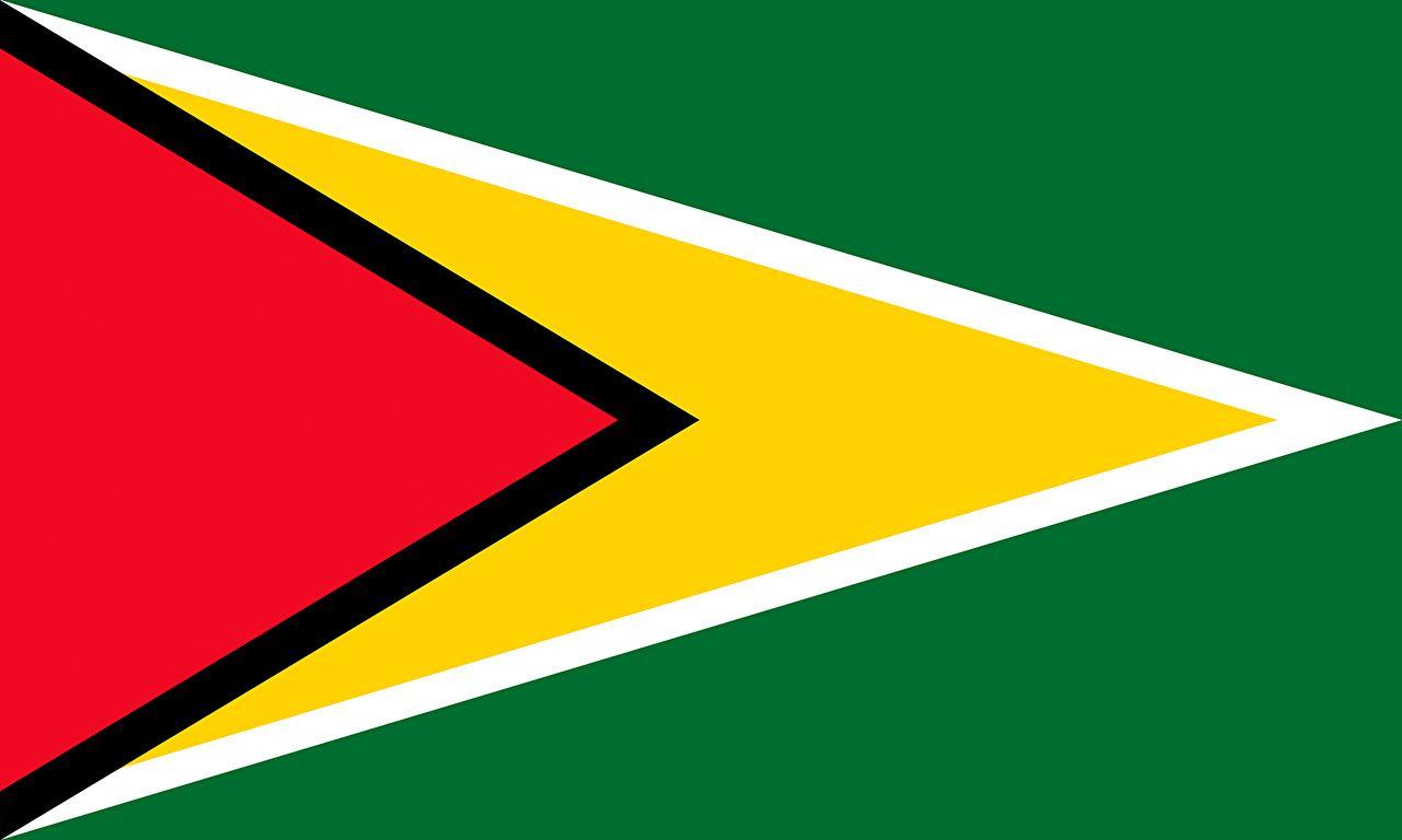 Guyana Flag