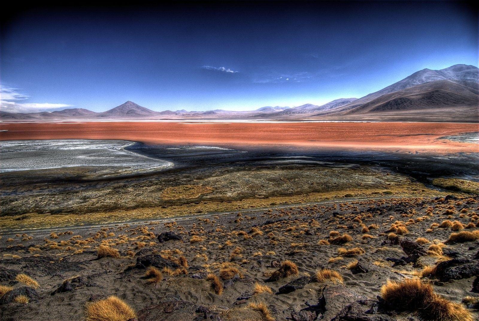 Lakes: Bolivia Laguna Colorada Wallpapers Nature Windows 8 for HD 16