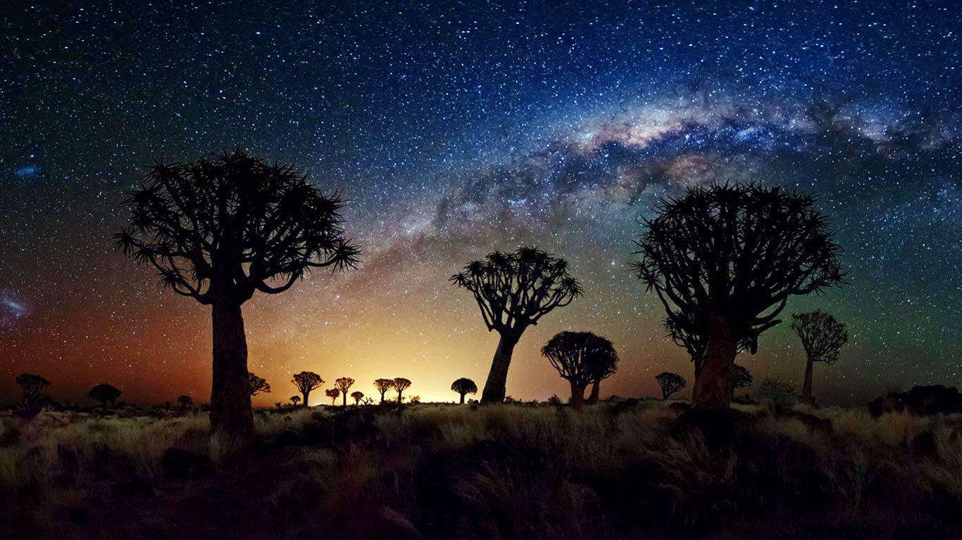 The Milky Way stretches over the Quiver Tree Forest, Namibia