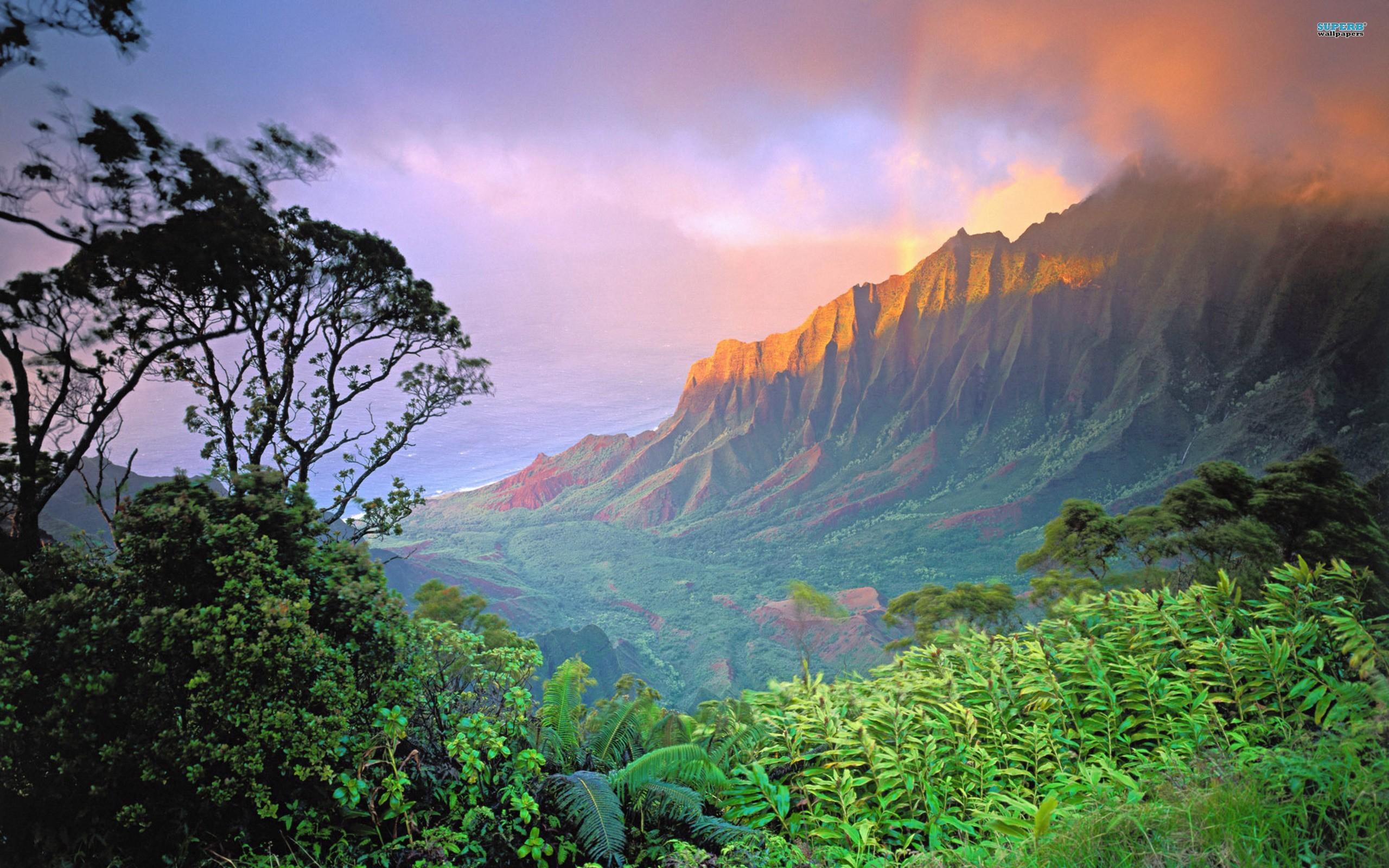 Hawaii nature wallpapers