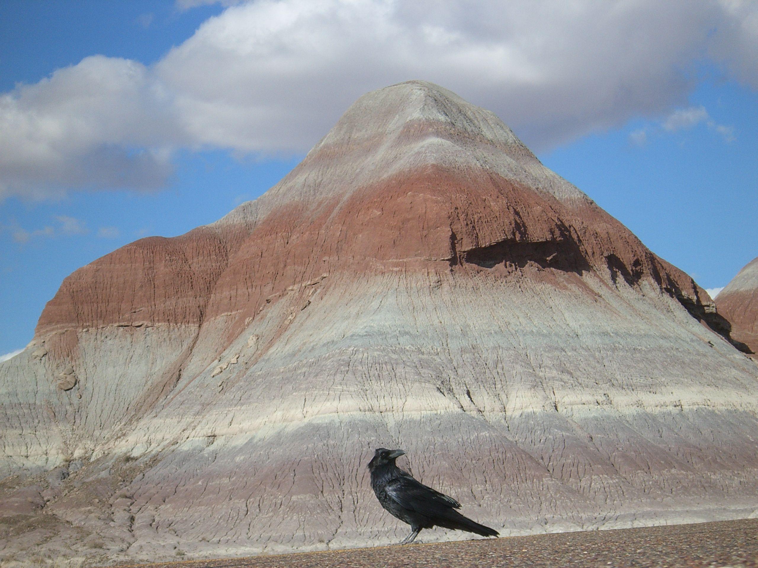 File:Blue Mesa