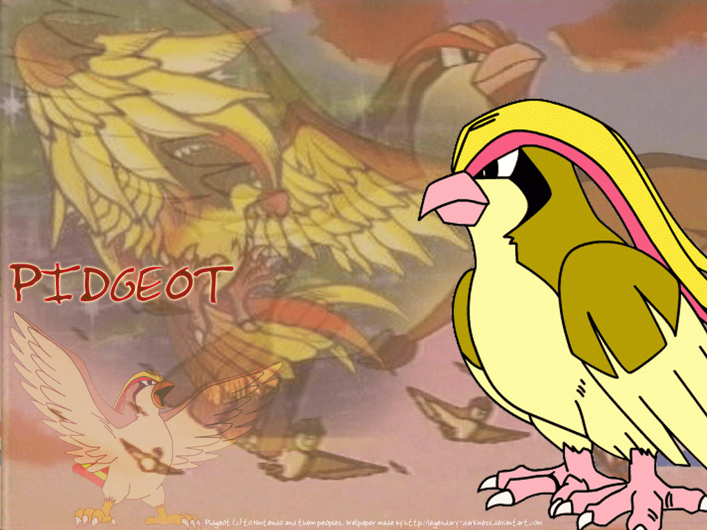 Pidgeot Wallpapers by Legendary