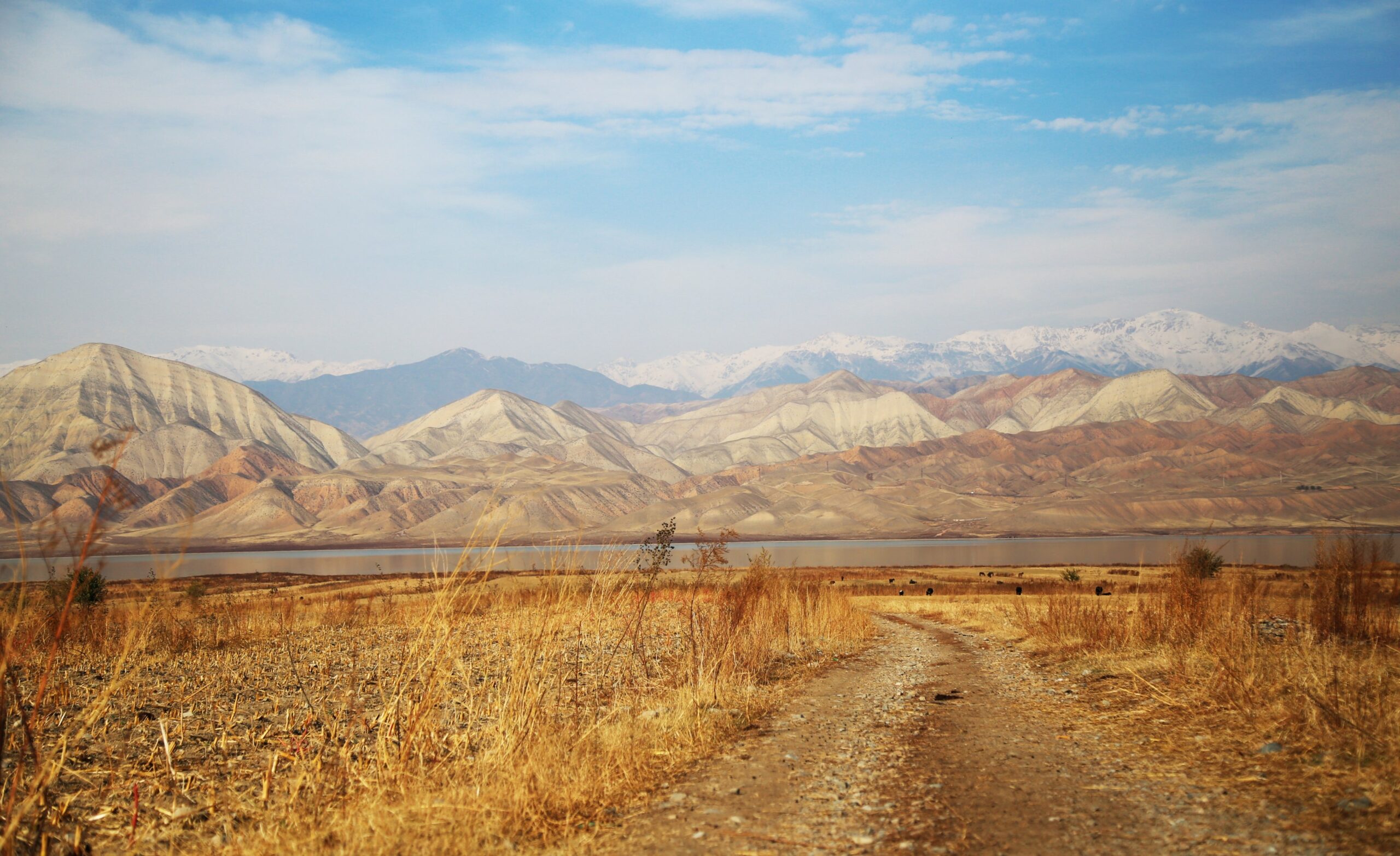 road trip to bishkek kyrgyzstan 4k wallpapers and backgrounds