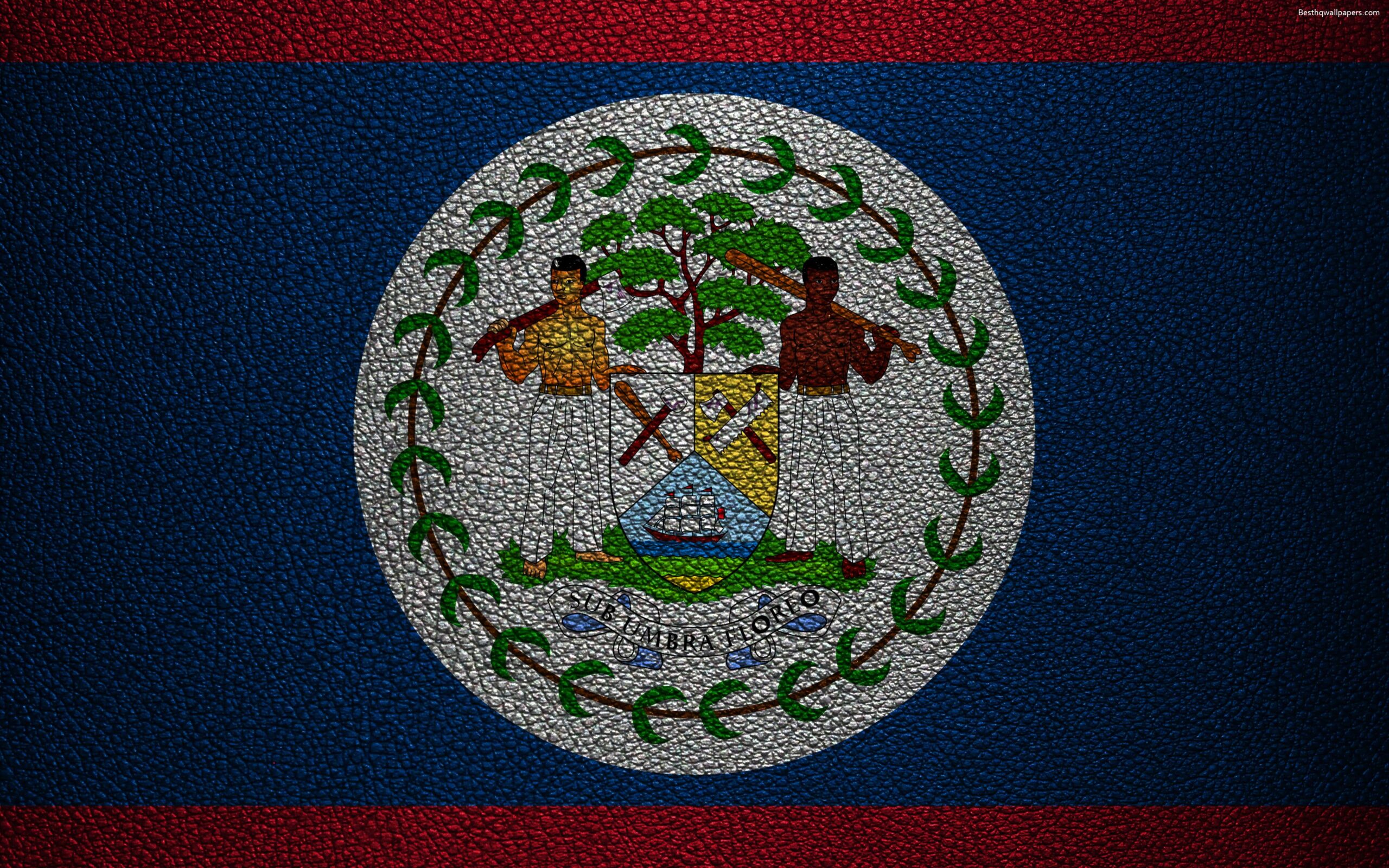 Download wallpapers Flag of Belize, 4k, leather texture, North