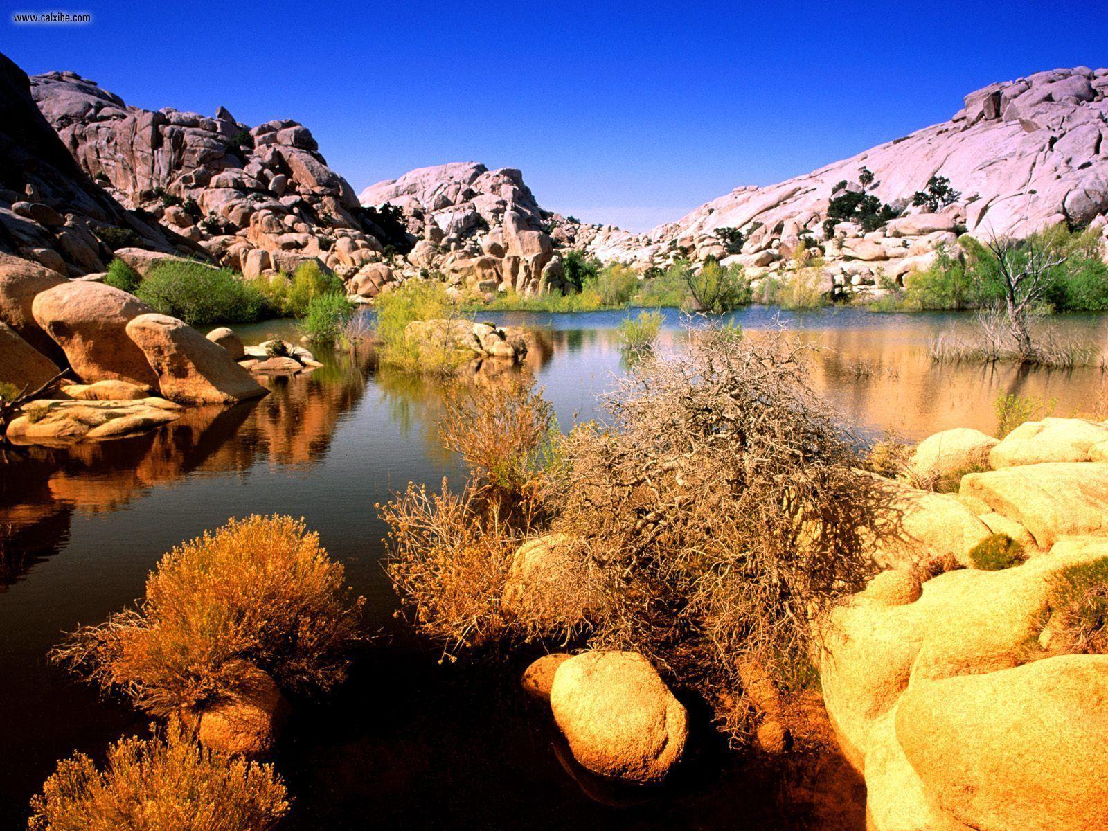 Nature: Technicolor Terrain Joshua Tree National Park, California