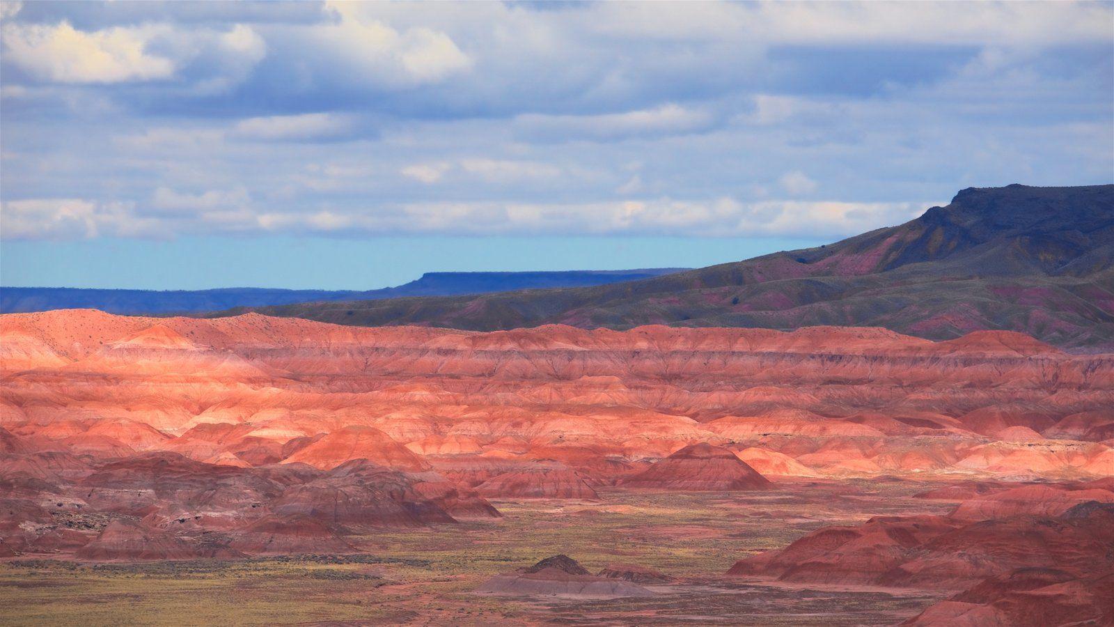 Landscape Pictures: View Image of Petrified Forest National Park