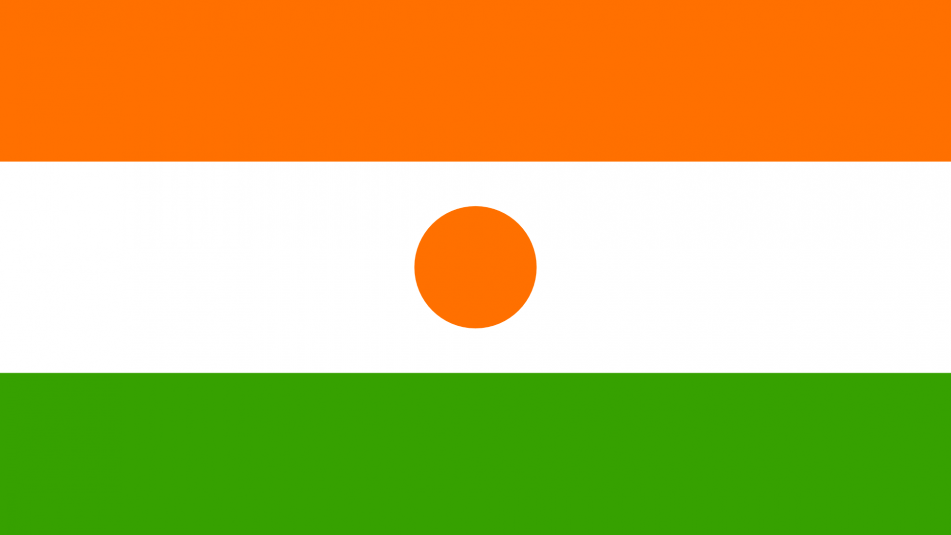 Niger Flag