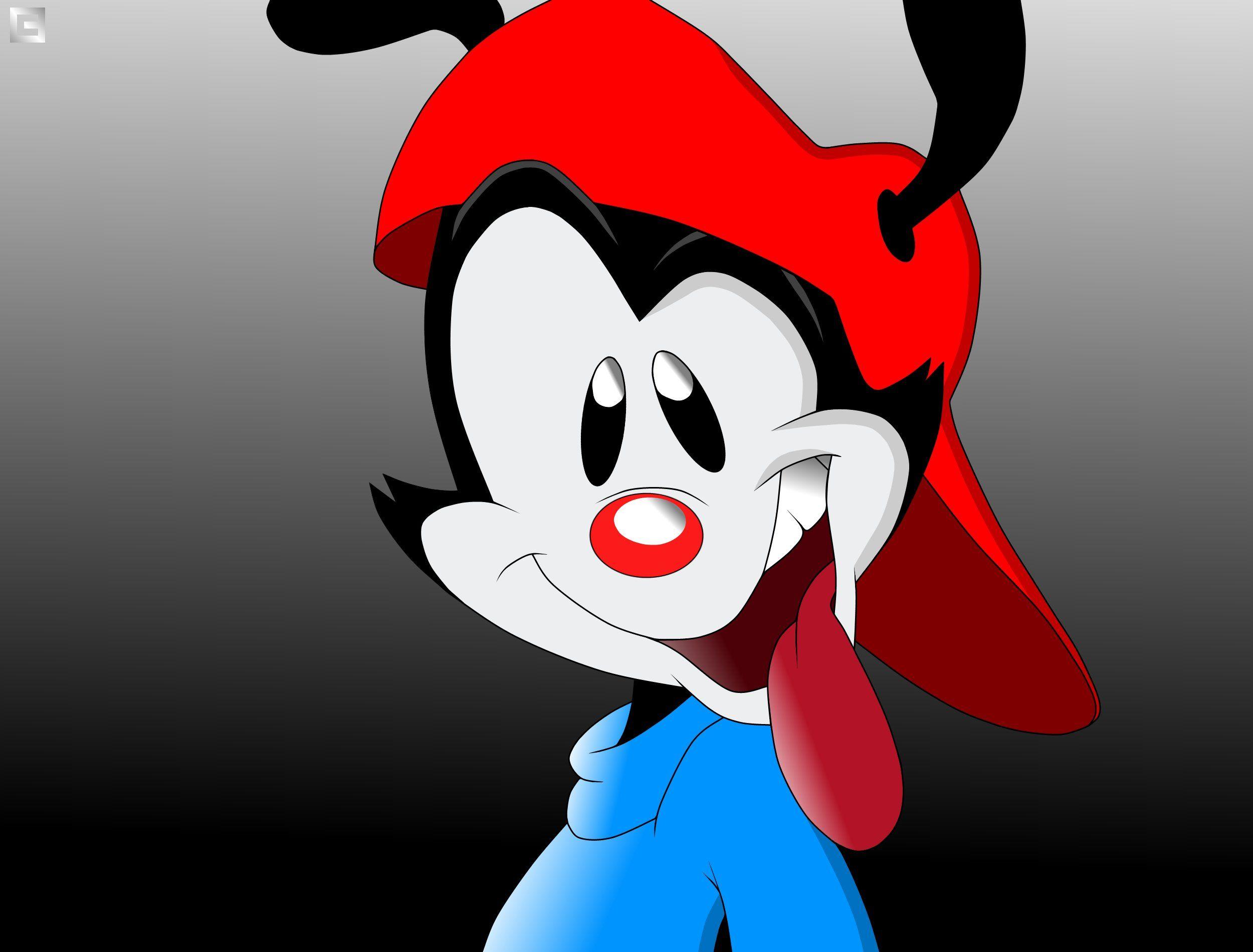 animaniacs wallpapers