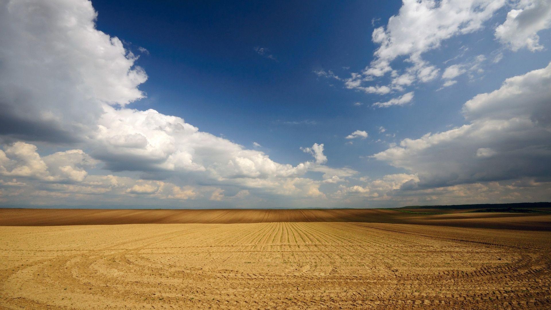 Campo de Serbia … fondos de pantalla