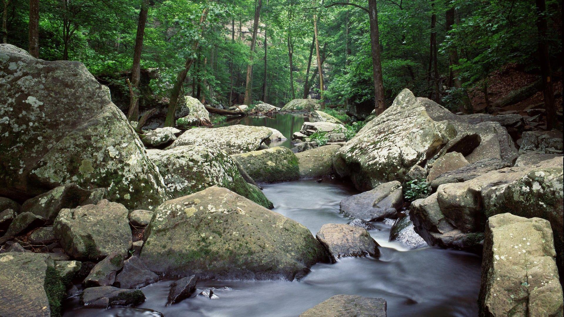 Lakes cedar Arkansas creek wallpapers