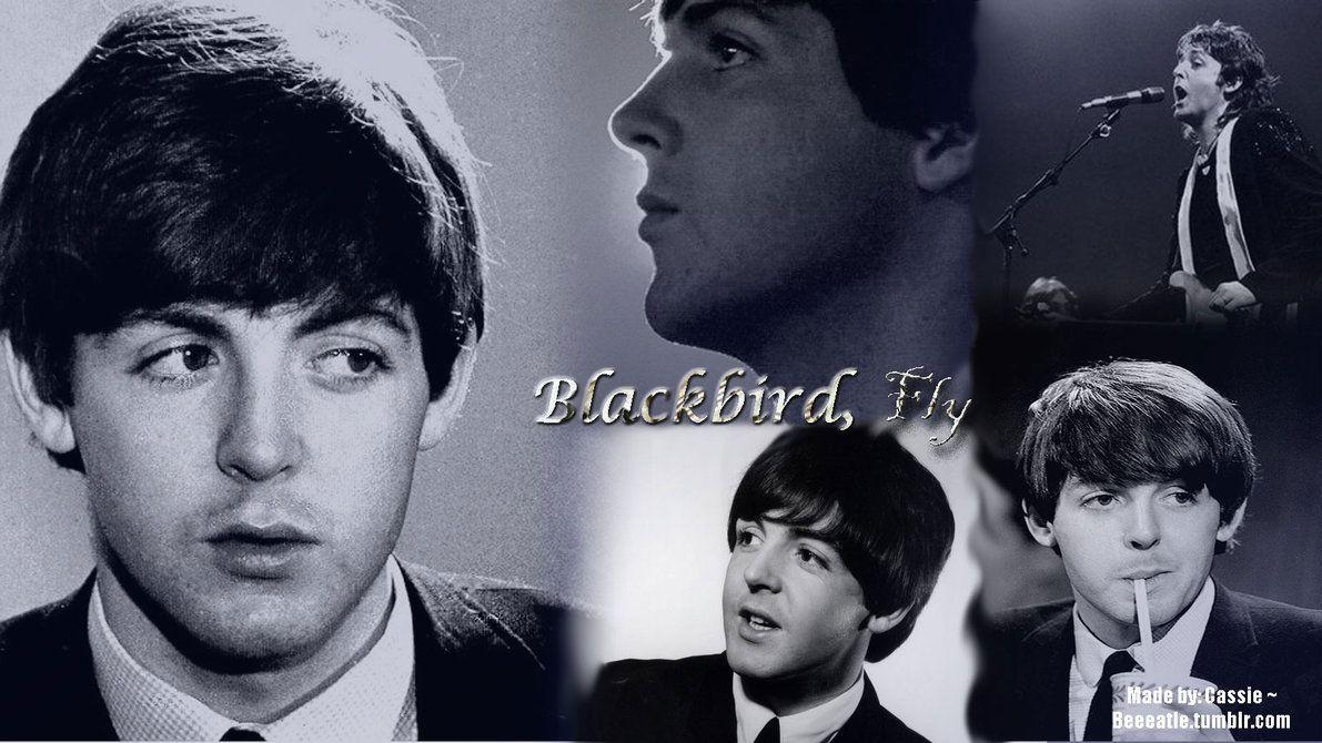 Paul McCartney Wallpapers I by beeeatle