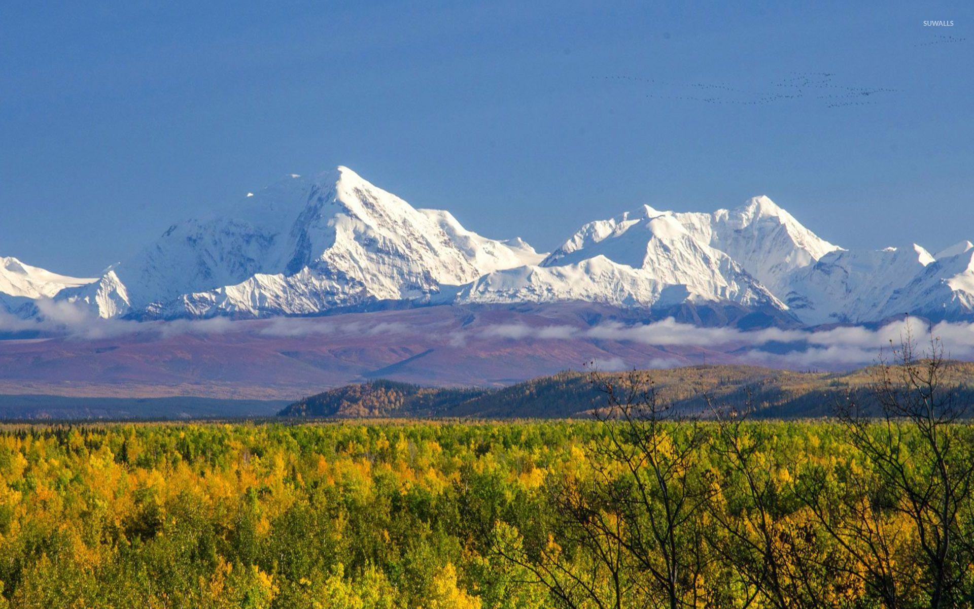 Denali National Park wallpapers