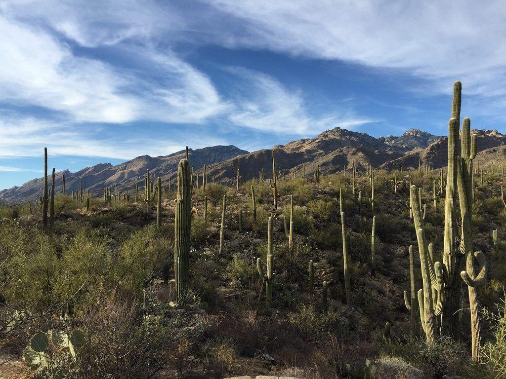 8 Breathtaking National Parks to visit this Spring