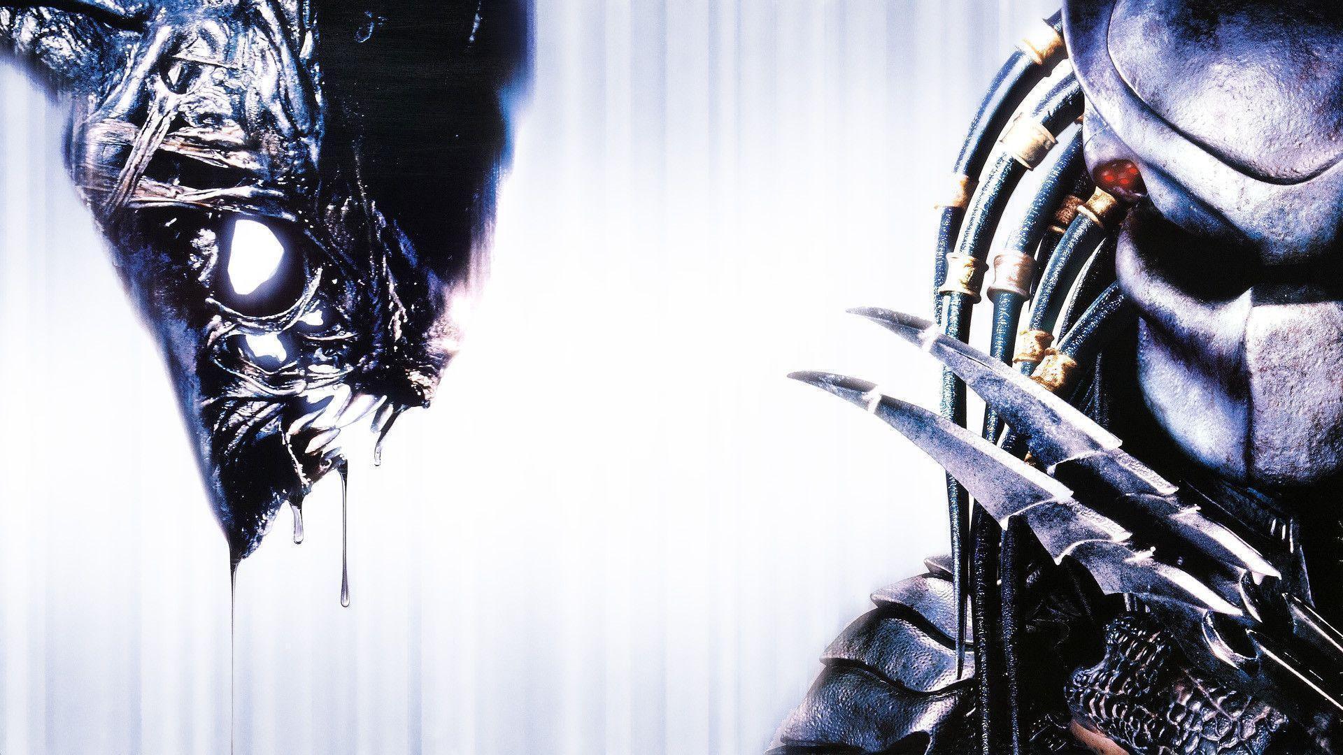 Wallpapers of Alien vs Predator in high definition