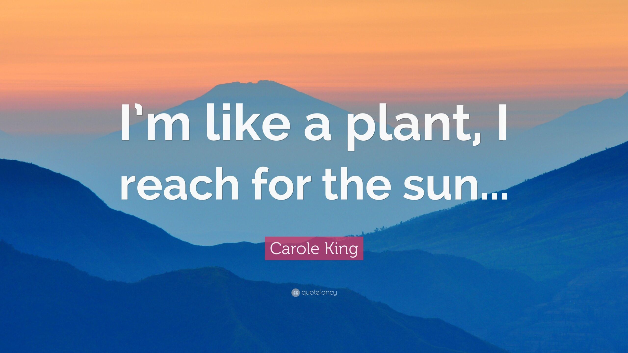 Carole King Quote: “I’m like a plant, I reach for the sun…”