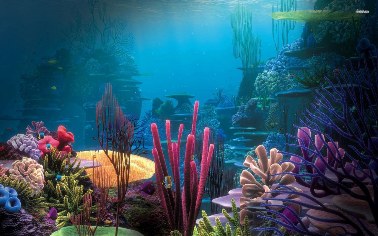 Aquariums image Aquarium Wallpapers HD wallpapers and backgrounds