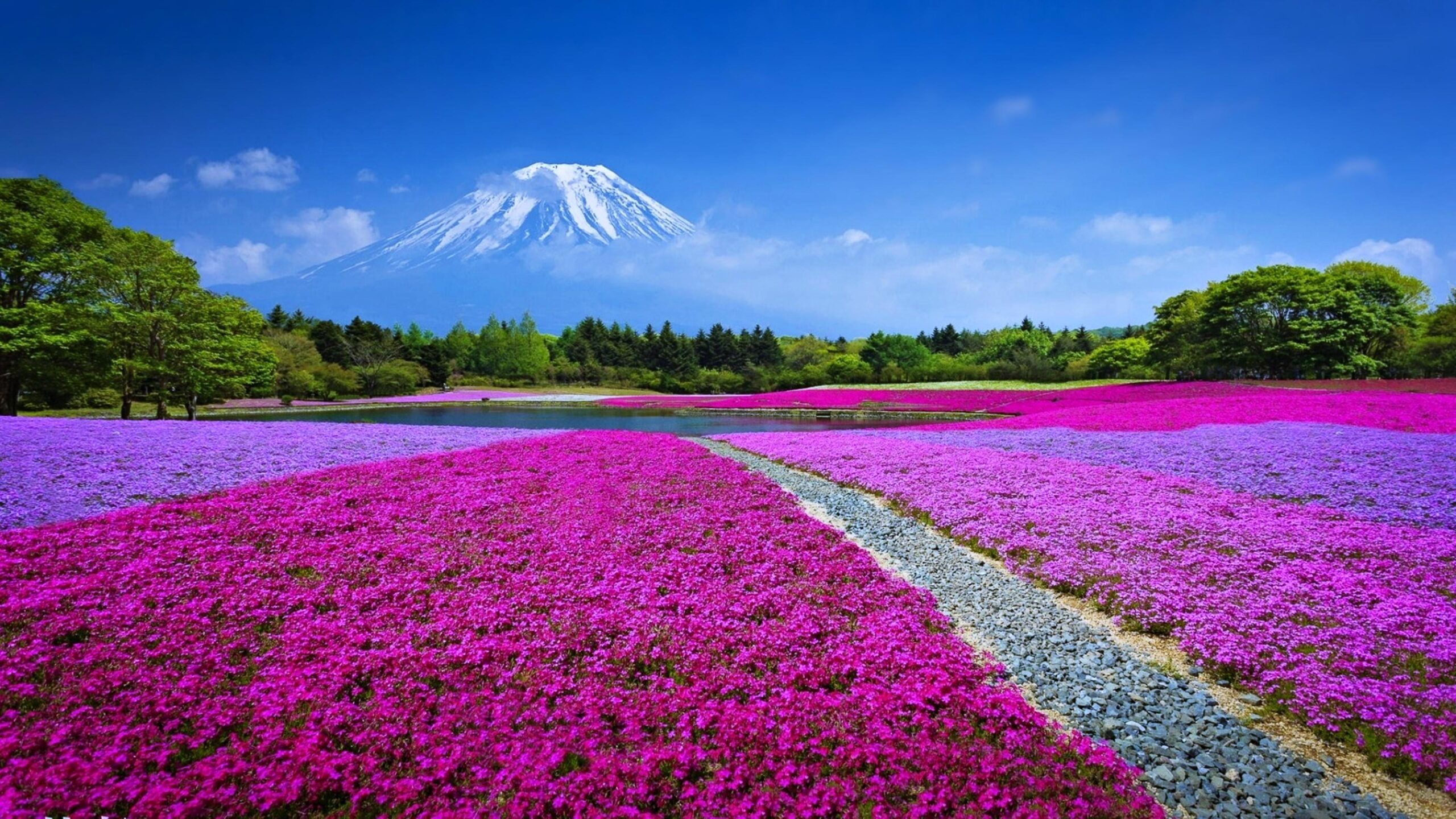 Mount Fuji Landscape, Japan 4K UltraHD Wallpapers