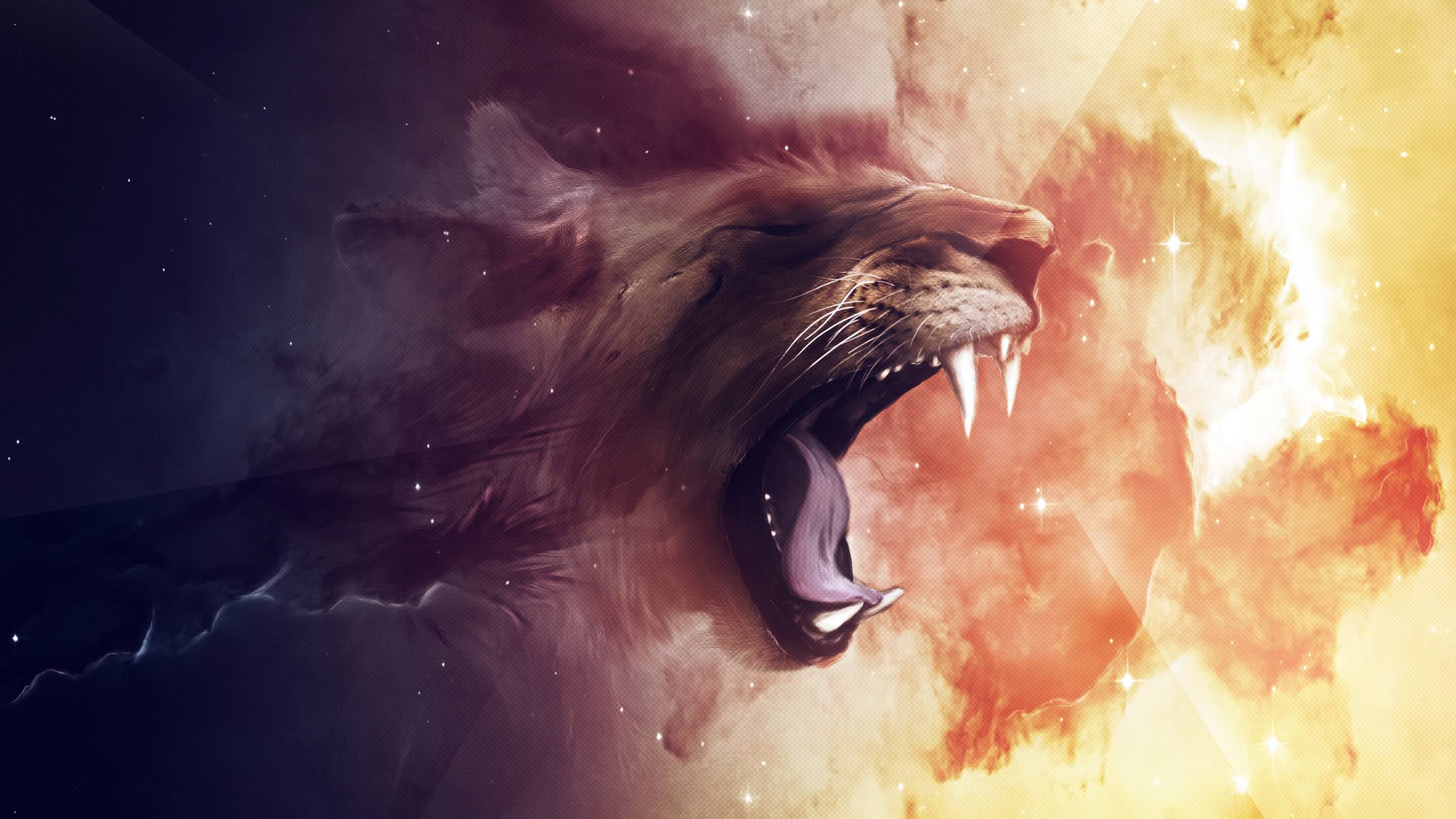 Lion Computer Wallpapers, Desktop Backgrounds Id: 323327