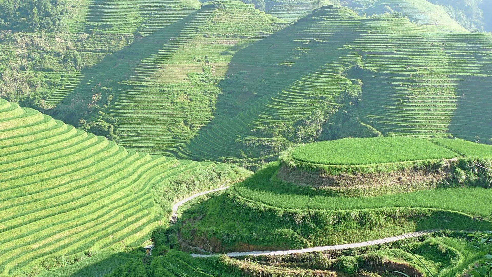 banaue rice terraces