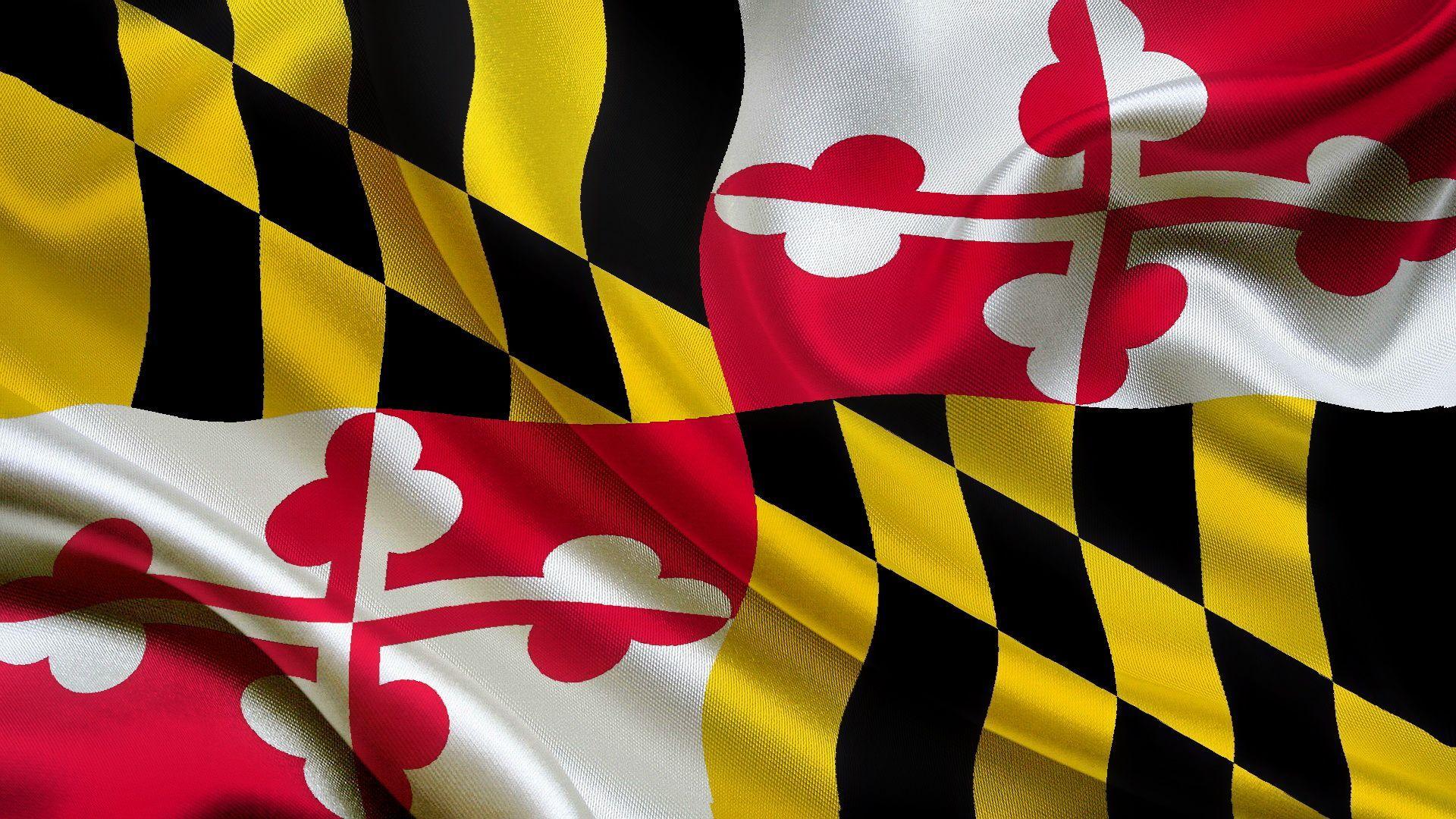 Maryland flag