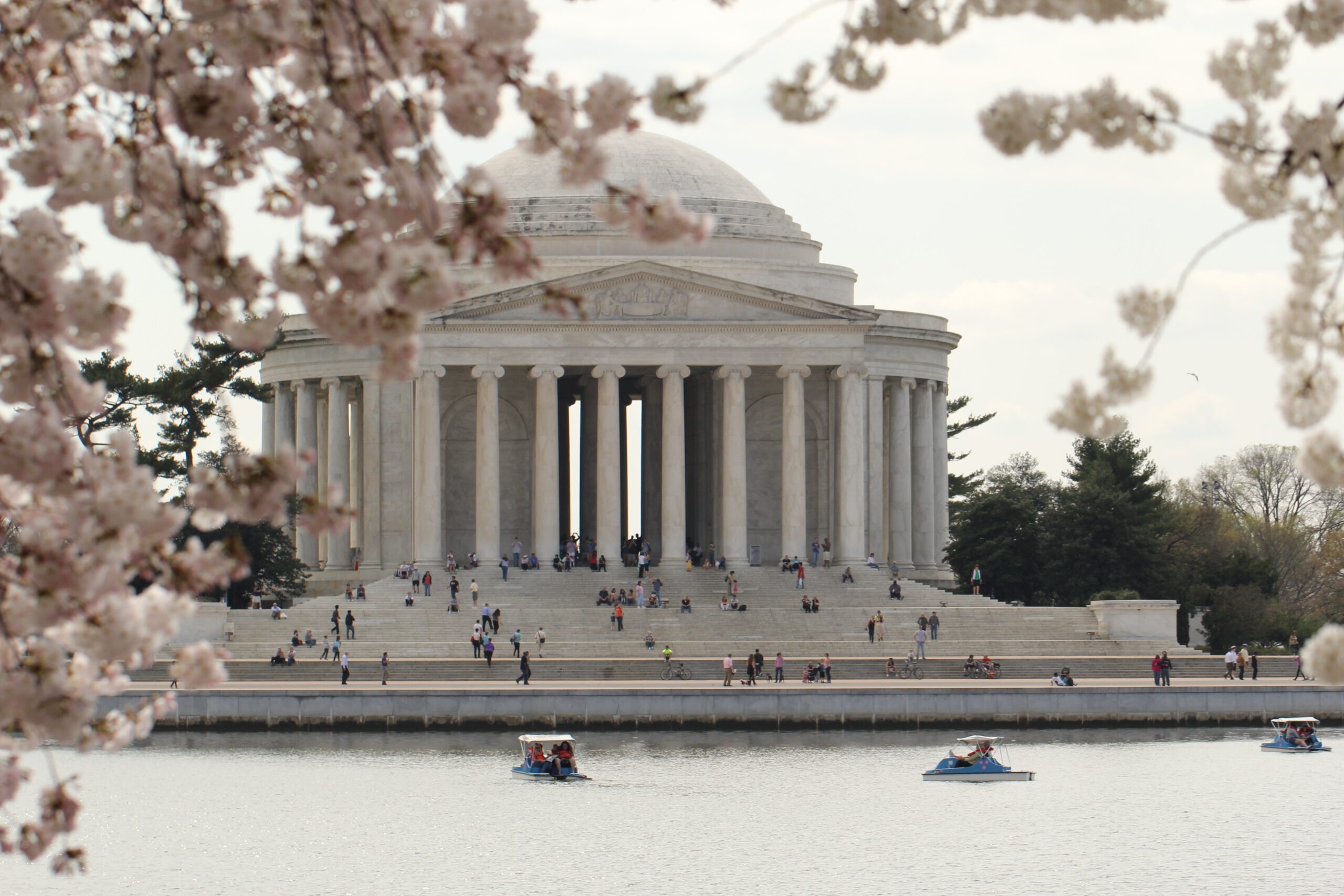 Free stock photo of cherry blossoms, jefferson memorial, monument