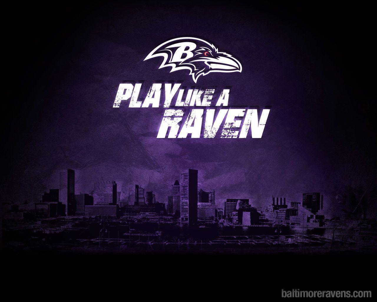 79 baltimore ravens wallpapers Pictures