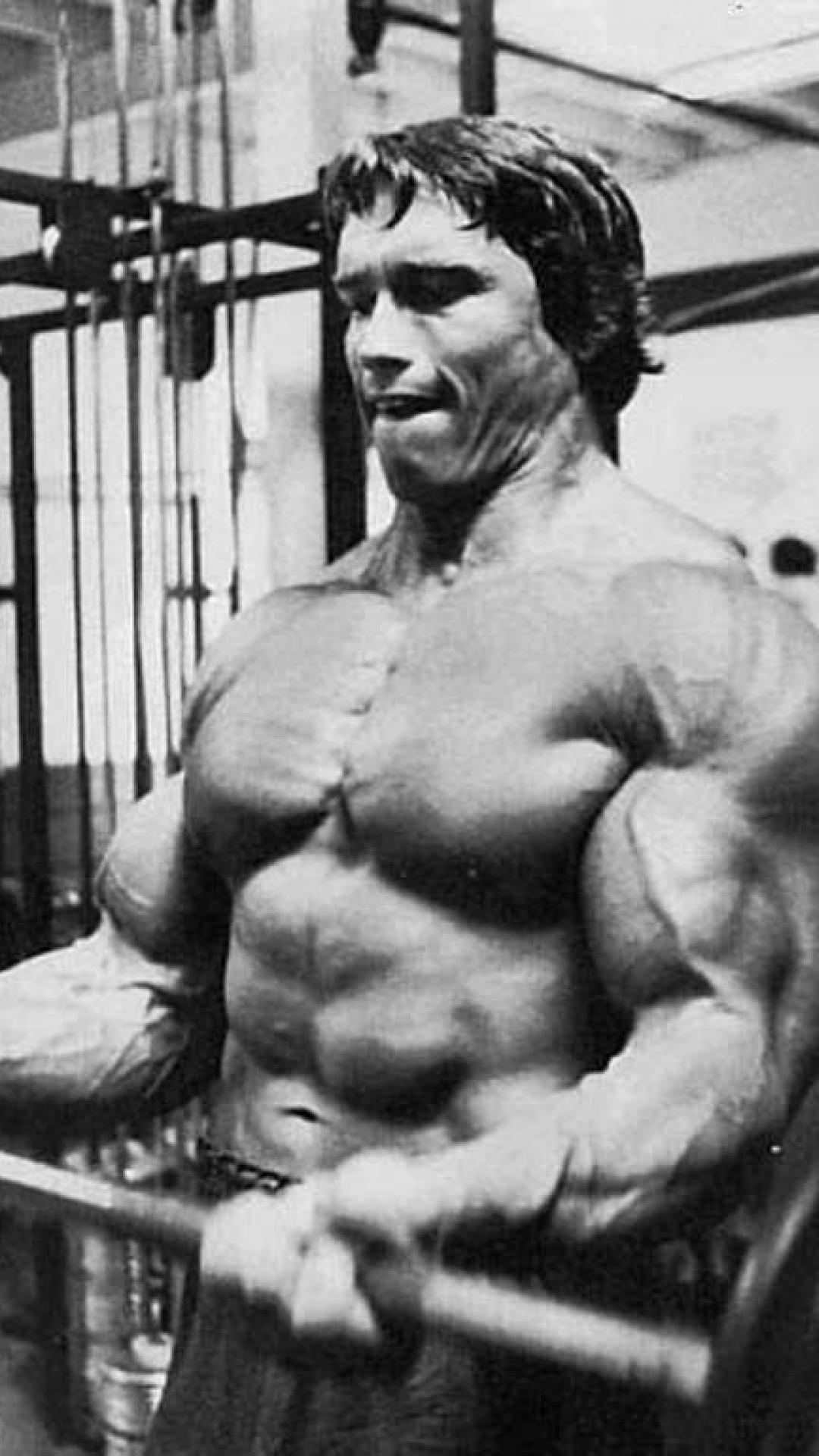 Arnold Schwarzenegger Hd Wallpapers