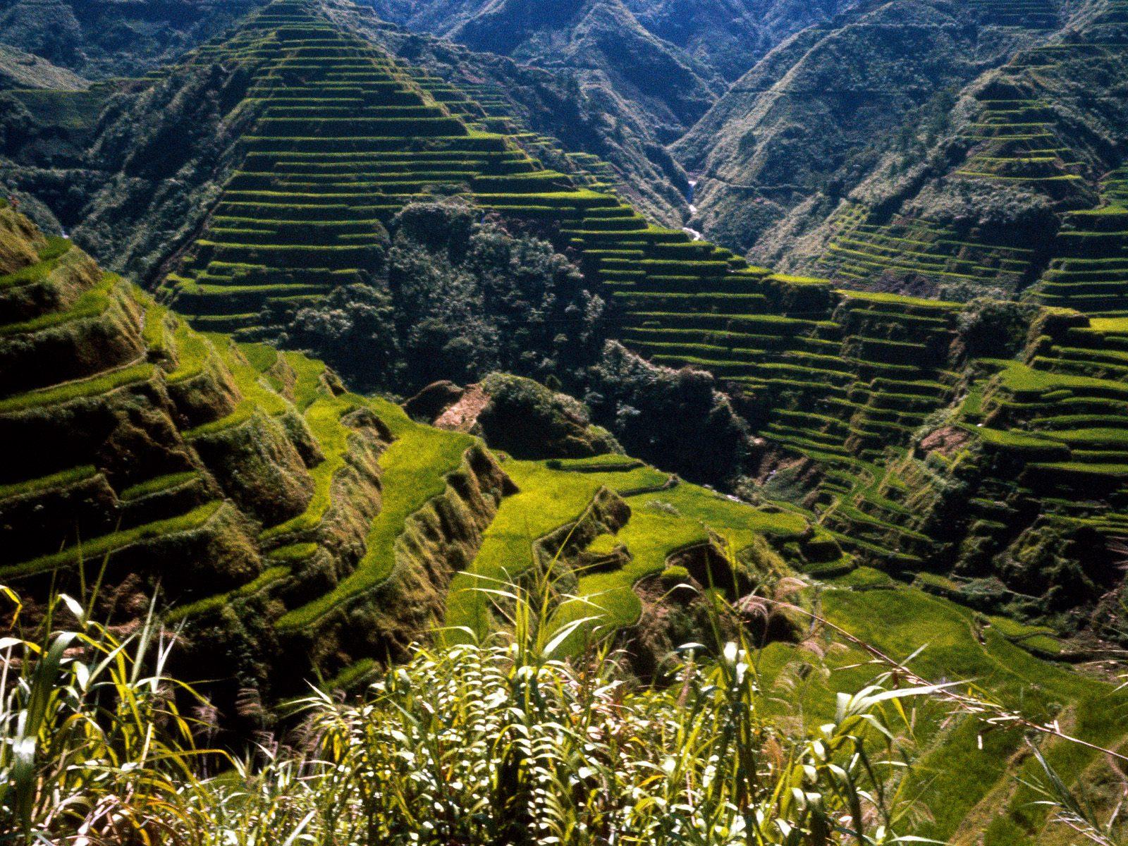 Image of Banaue Rice Terraces Wallpapers