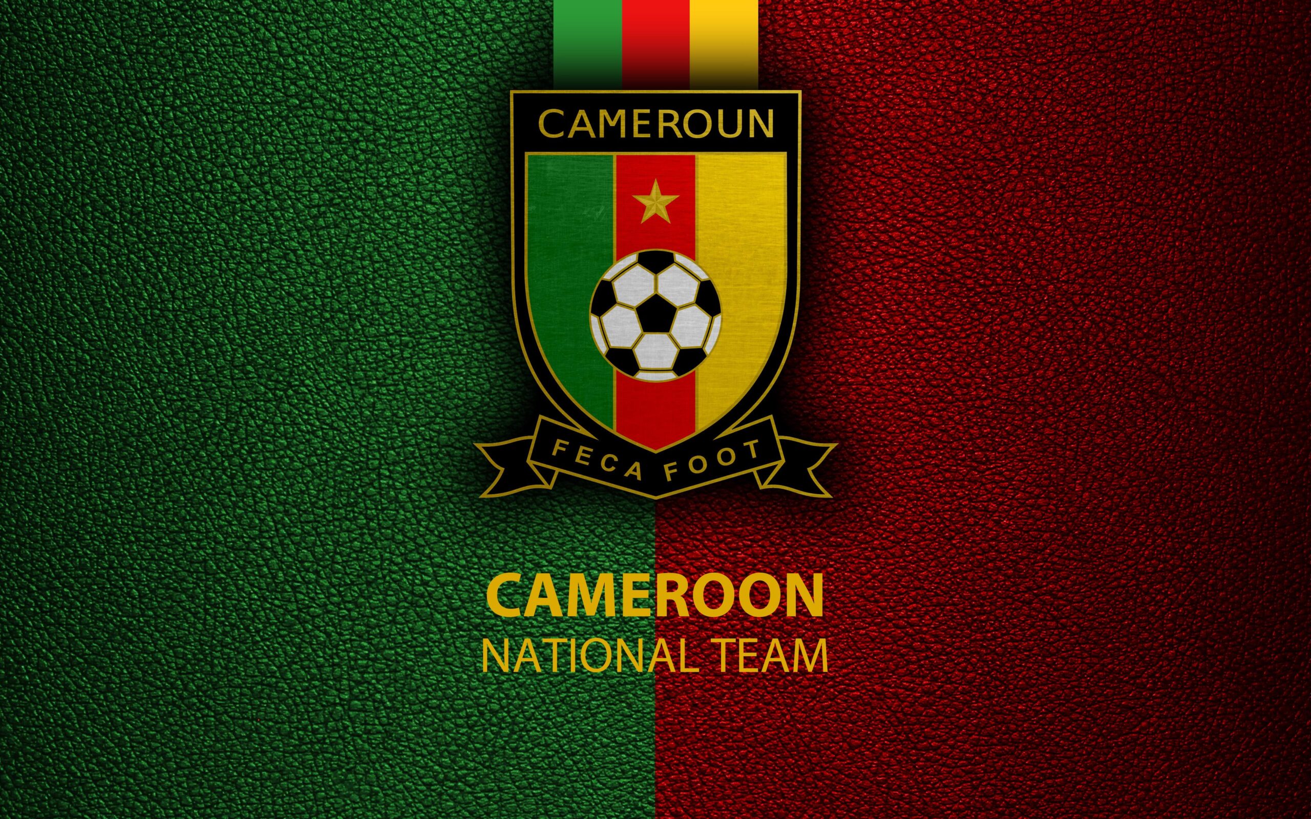 Cameroon National Football Team 4k Ultra HD Wallpapers