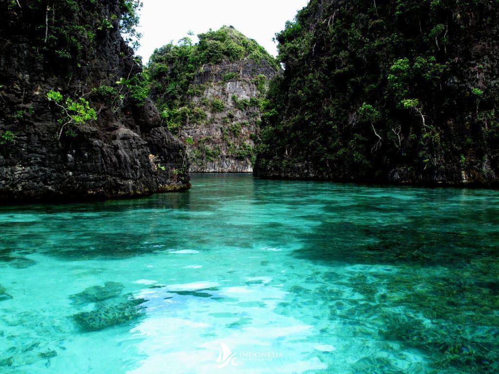 Raja Ampat – Indonesia Yacht Charter