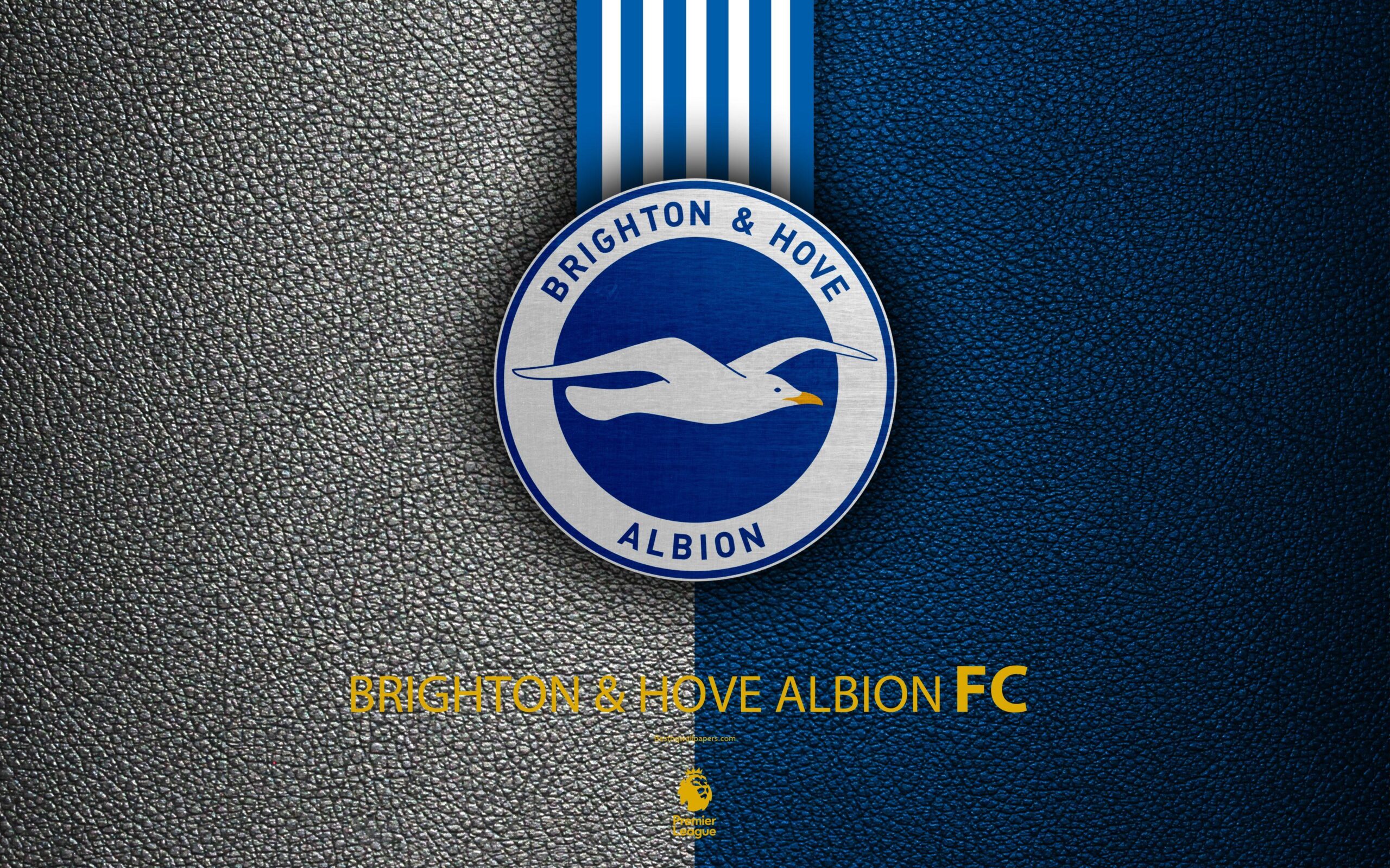 Download wallpapers Brighton and Hove Albion FC, 4k, English