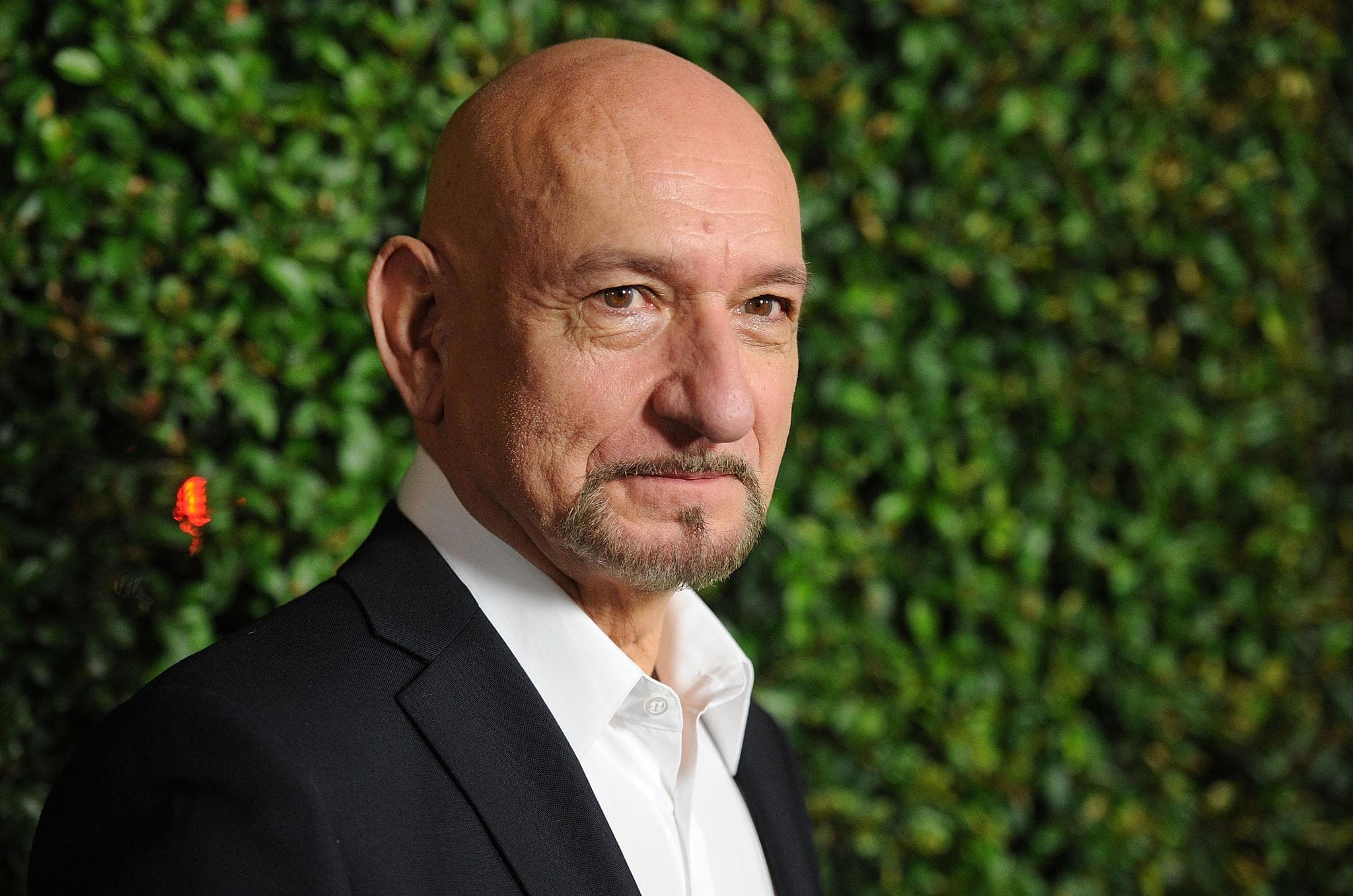 Ben Kingsley Celebrity HD Wallpapers 58920 px