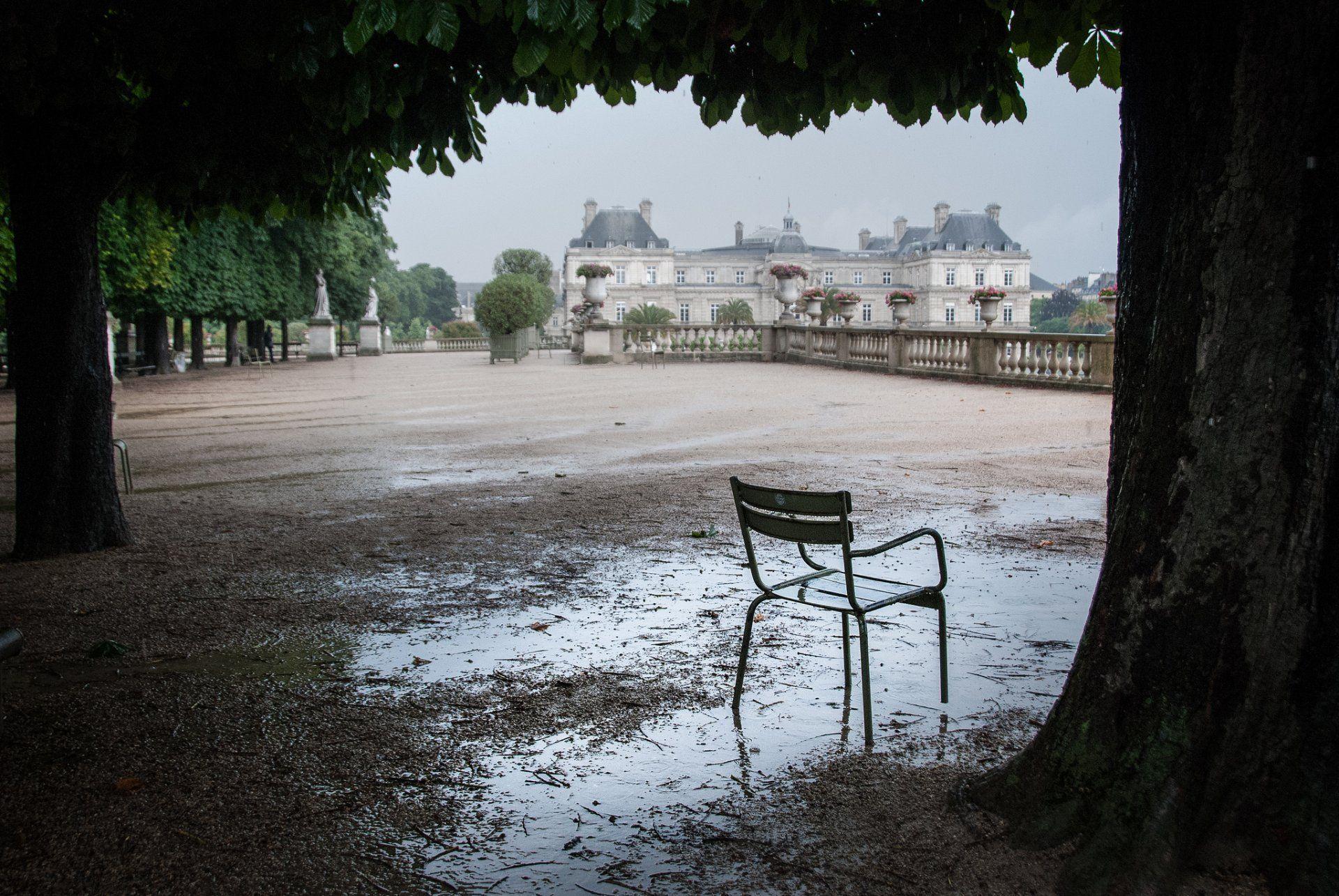 luxembourg terrace tree chair a pool after the rain HD wallpapers