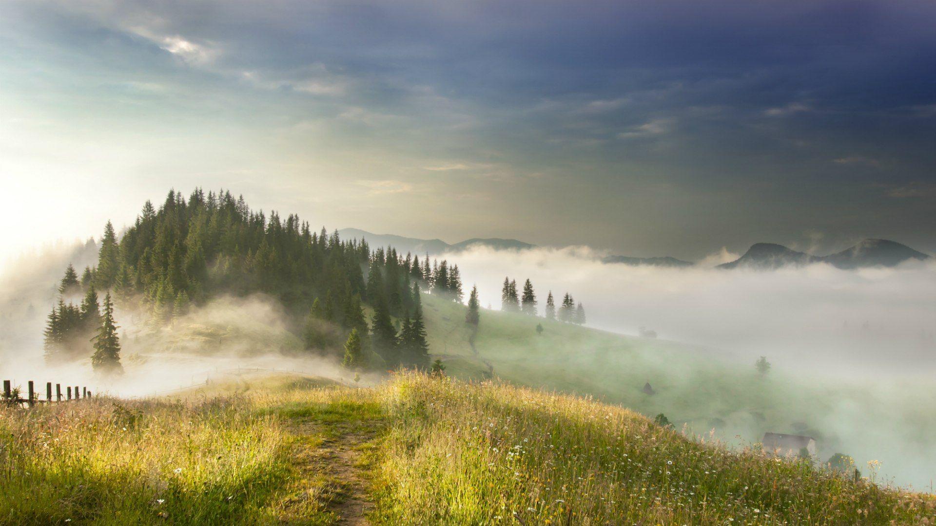 Fog in the Carpathian Mountains, Ukraine wallpapers and image