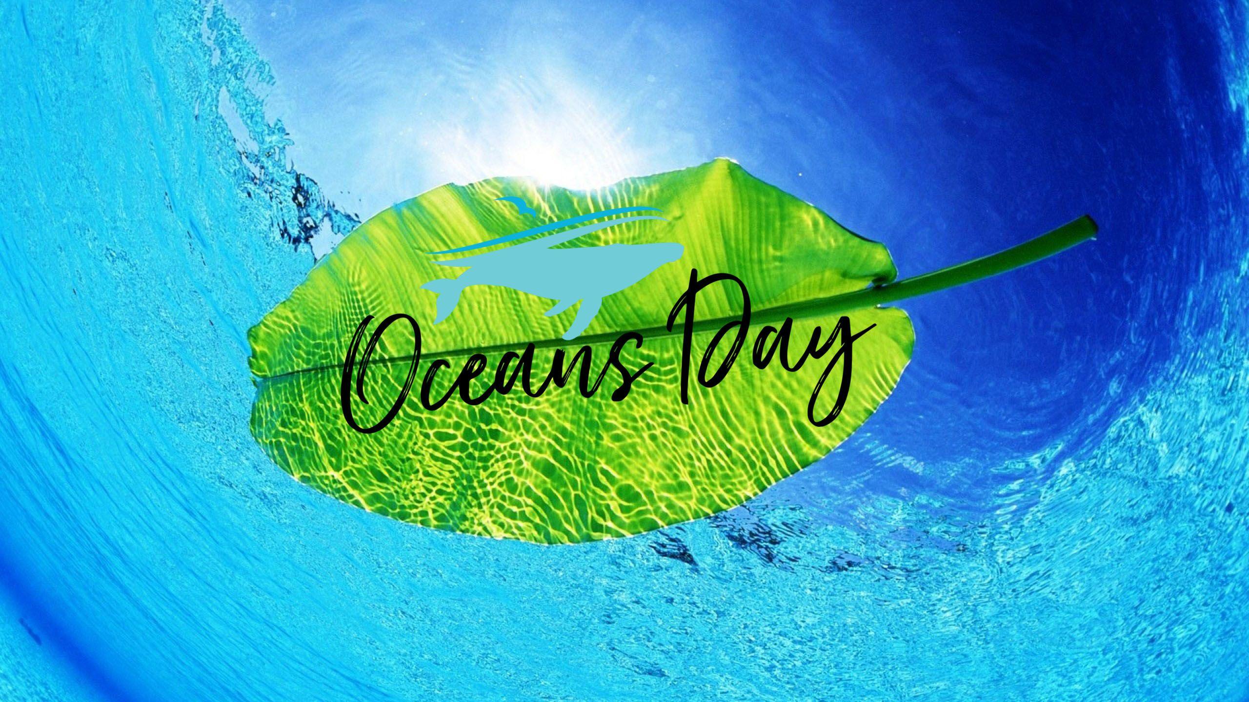 Happy World Oceans Day Leaf Hd Wallpapers