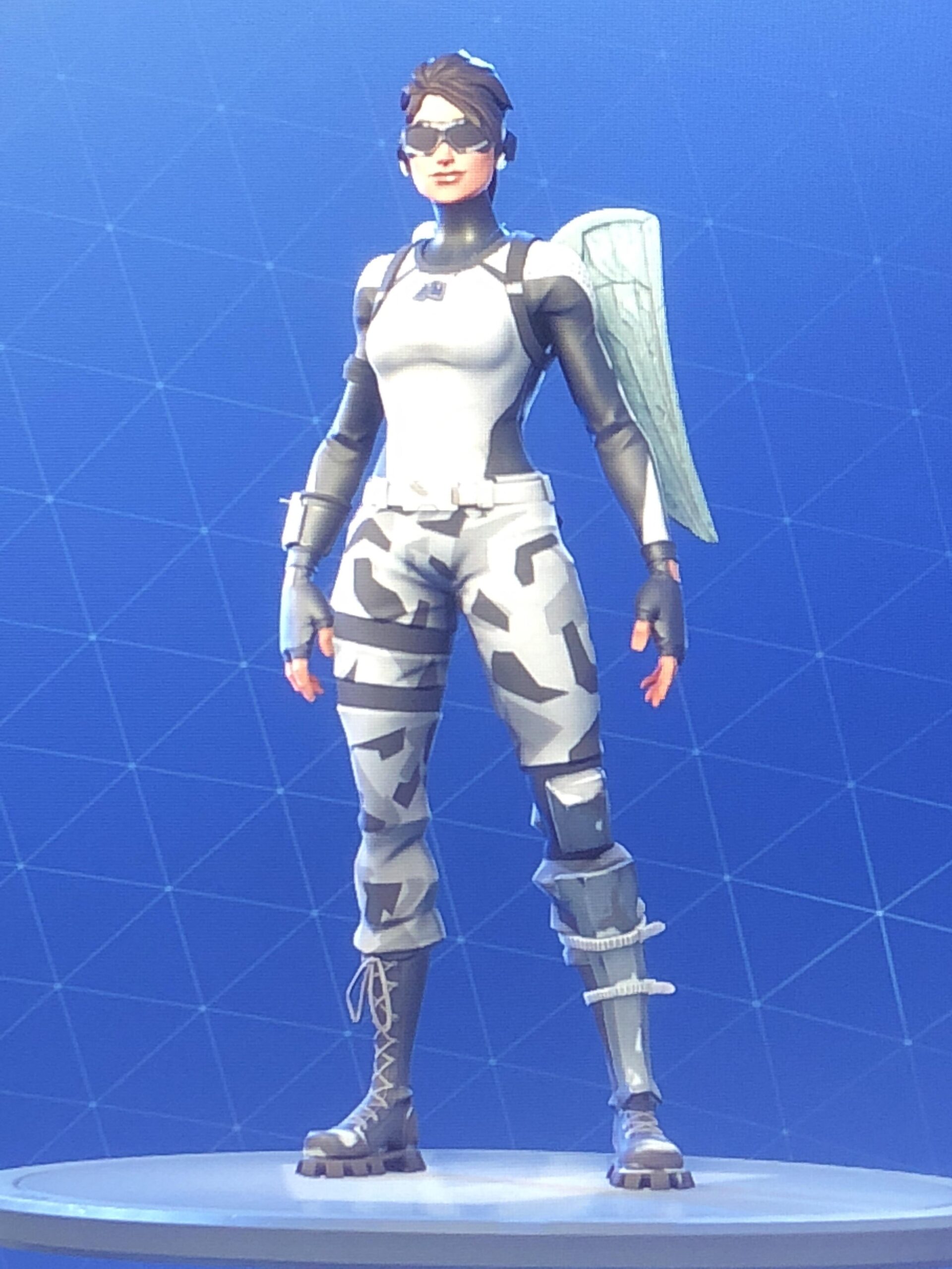 Arctic Assasin Fortnite